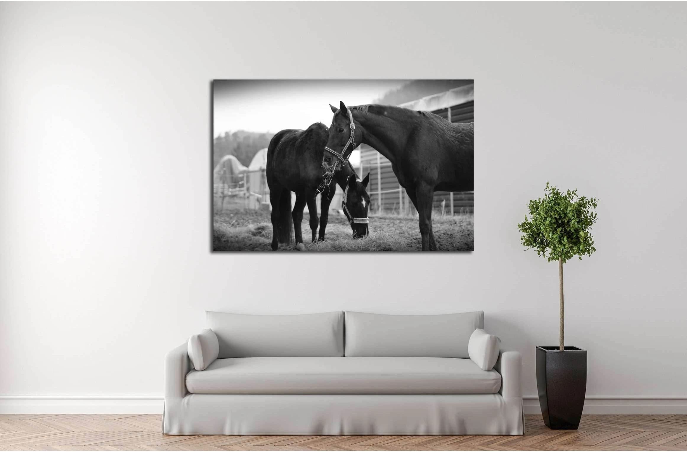 Black and white horse wall art №5008 - Zellart Canvas Prints ALL_Products, Horses, s-5008