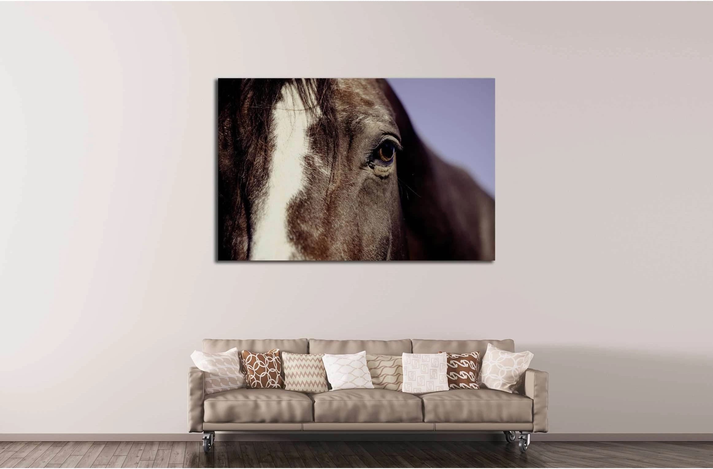 Closeup horse canvas print №5017 - Zellart Canvas Prints ALL_Products, Horses, s-5017