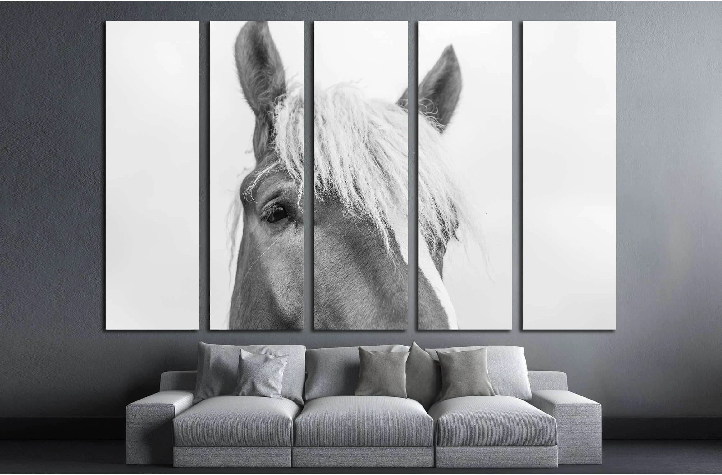Closeup horse wall art №5007 - Zellart Canvas Prints ALL_Products, Horses, s-5007