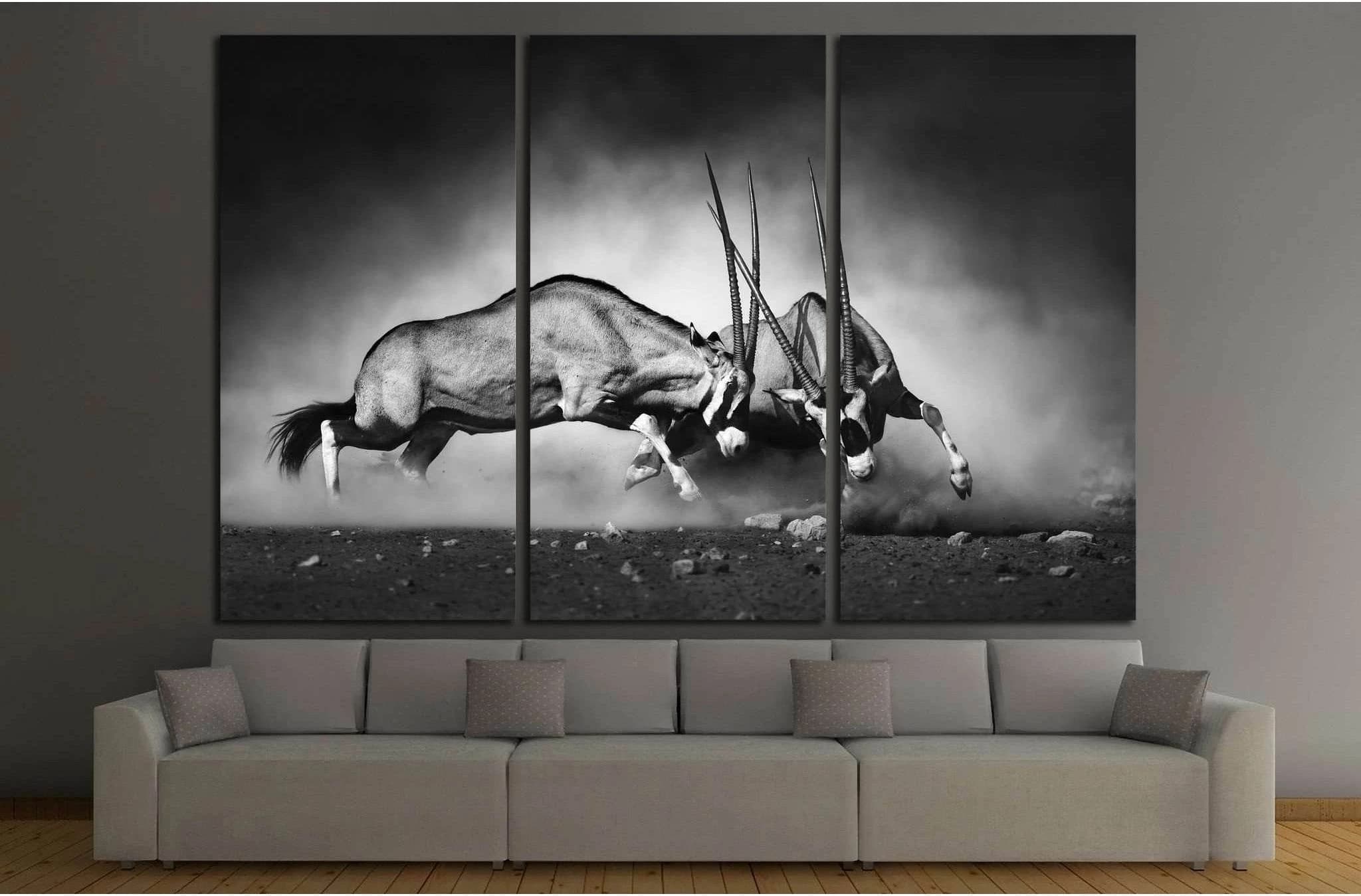 Gemsbok dual №743 Ready to Hang Canvas Print - Zellart Canvas Prints ALL_Products, s-743