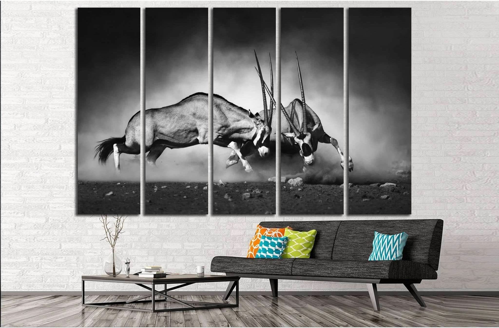 Gemsbok dual №743 Ready to Hang Canvas Print - Zellart Canvas Prints ALL_Products, s-743