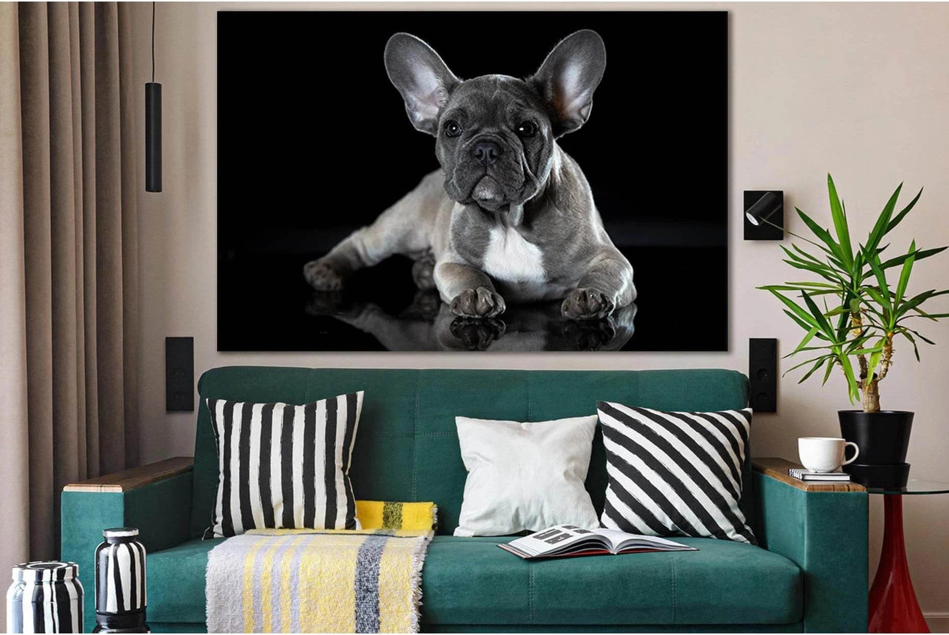 Photo Of French Bulldog №SL1050 Ready to Hang Canvas Print - Zellart Canvas Prints 0new, ALL_Products, Animals & Wildlife