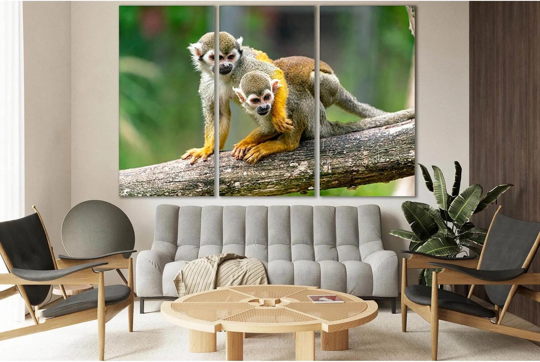 Two Monkeys On A Branch №SL1008 Ready to Hang Canvas Print - Zellart Canvas Prints 0new, ALL_Products, Animals & Wildlife