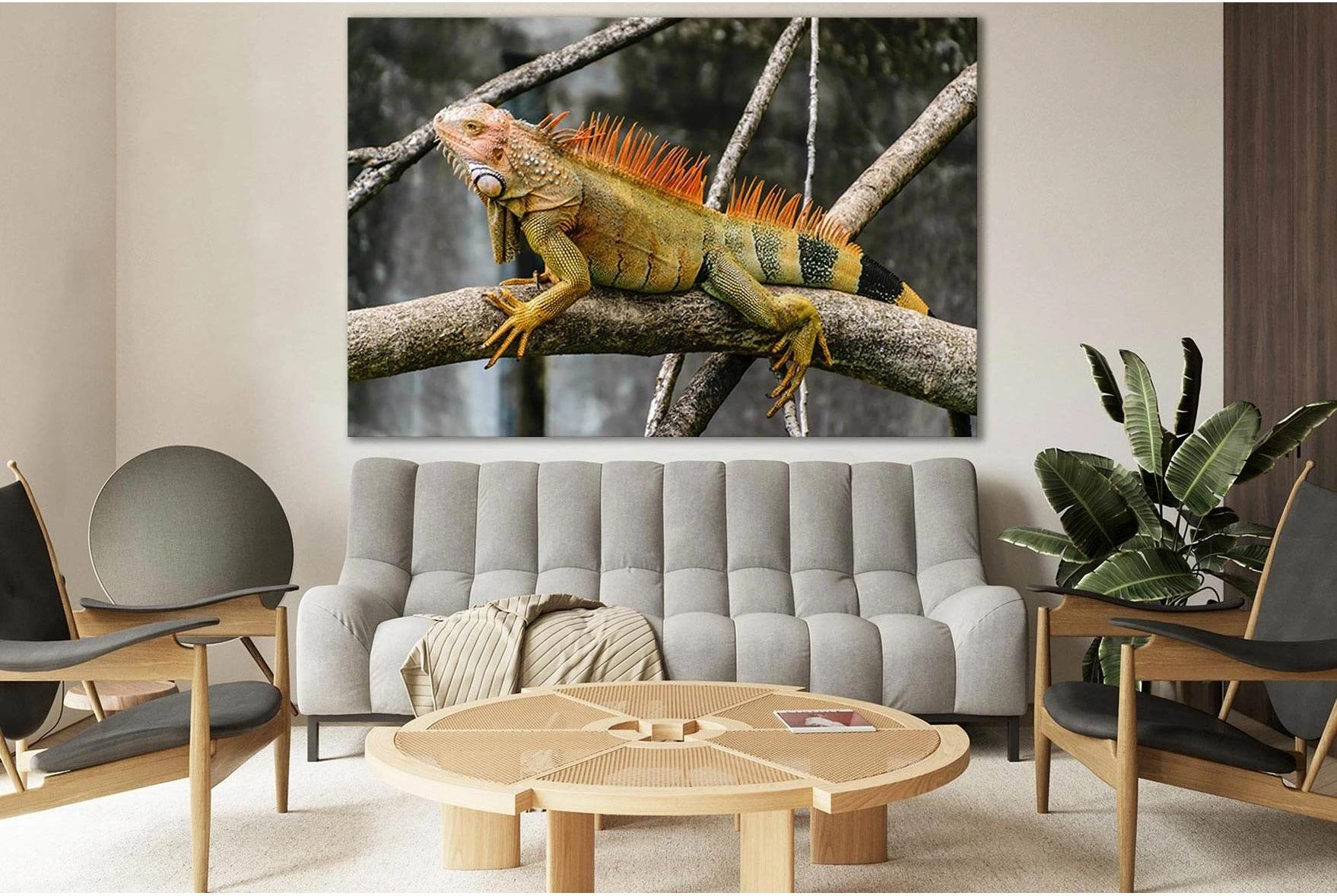 Iguana Sitting On A Branch №SL1506 Ready to Hang Canvas PrintCanvas art arrives ready to hang, with hanging accessories included and no additional framing required. Every canvas print is hand-crafted, made on-demand at our workshop and expertly stretched