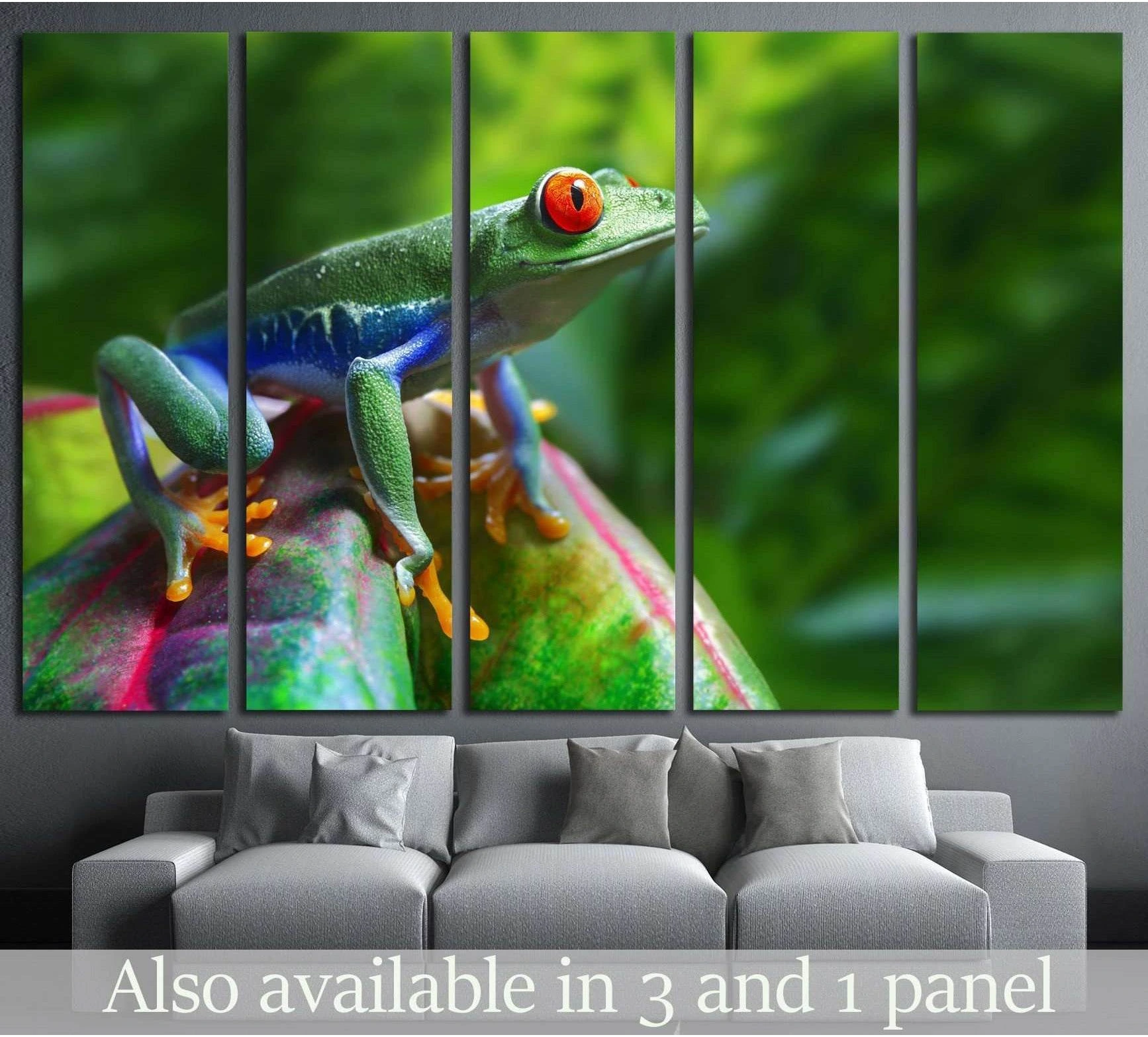 Red-eyed tree frog canvas print on a tropical leaf, displayed above a sofa in a modern living room