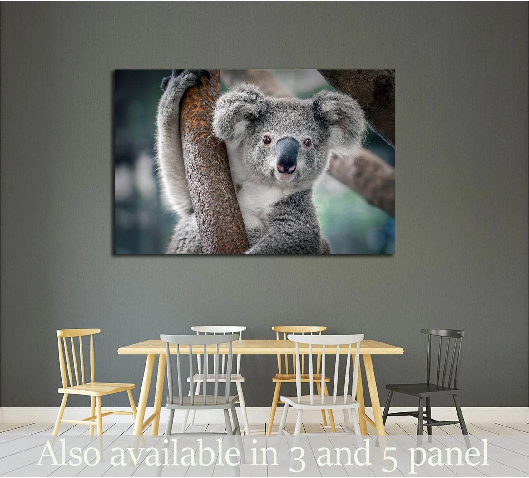 Koala canvas print with close-up grey koala holding a tree trunk above a dining table in a neutral room