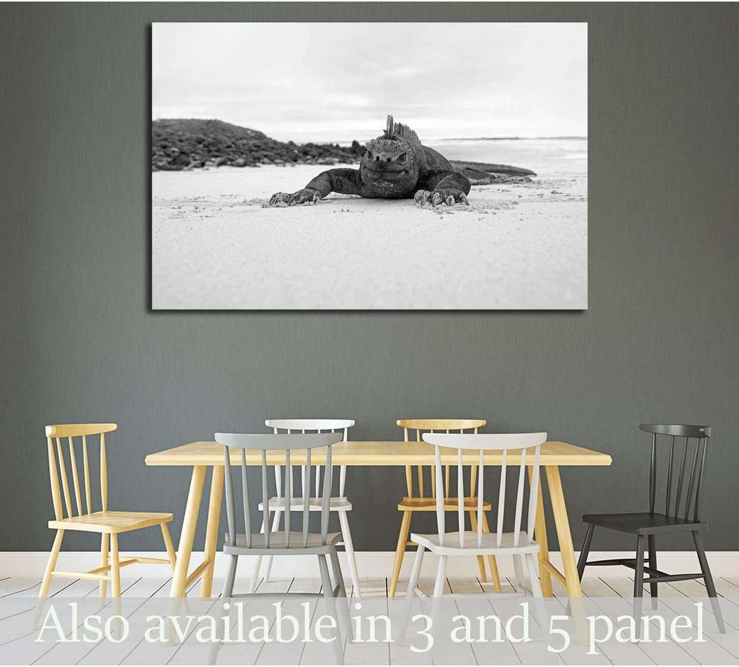 Black and white marine iguana canvas print hung above a dining table in a modern dining room