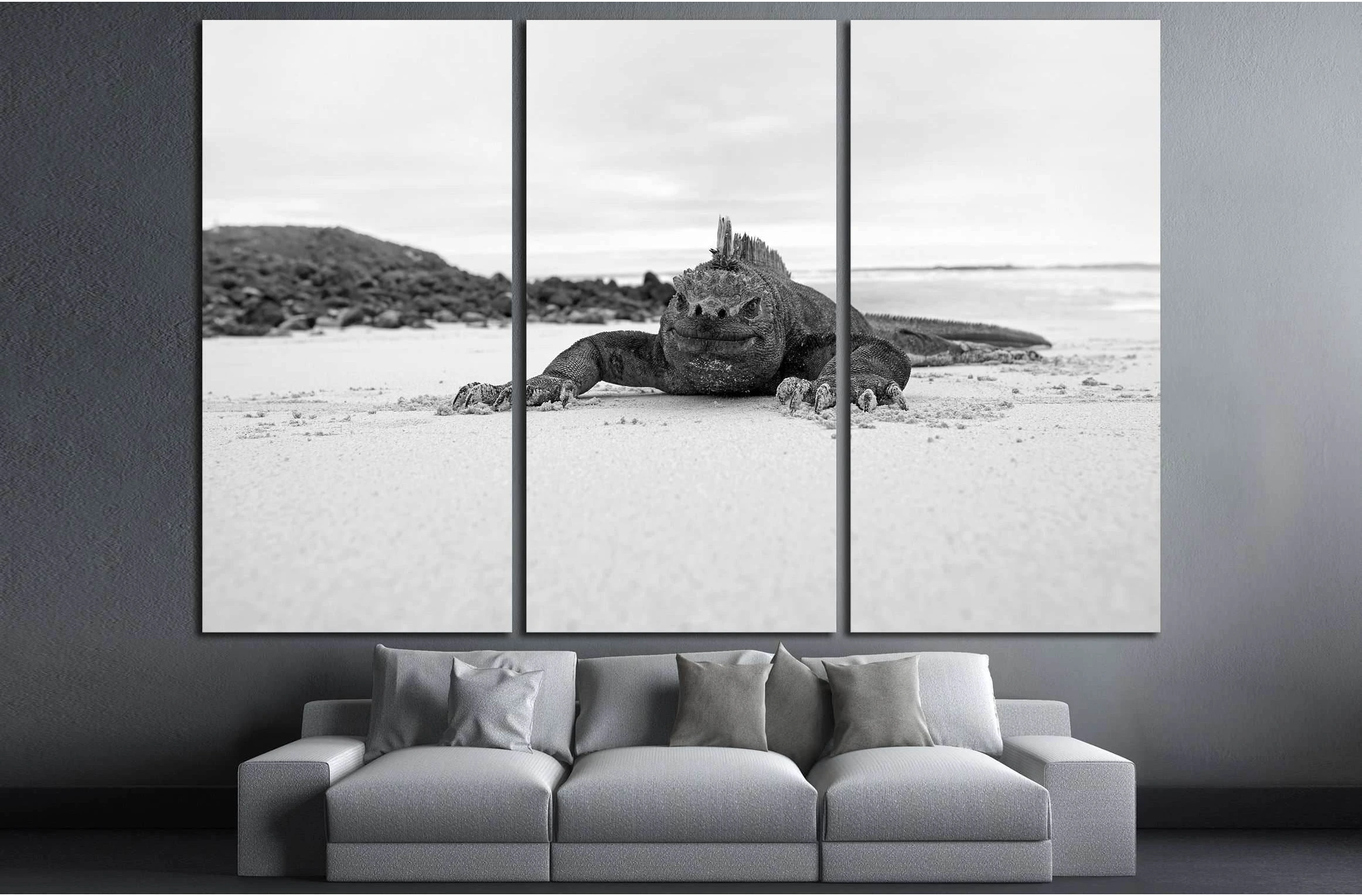 A marine iguana walking on the beach on Galapagos №3258 Ready to Hang Canvas Print - Zellart Canvas Prints ALL_Products, s-3258