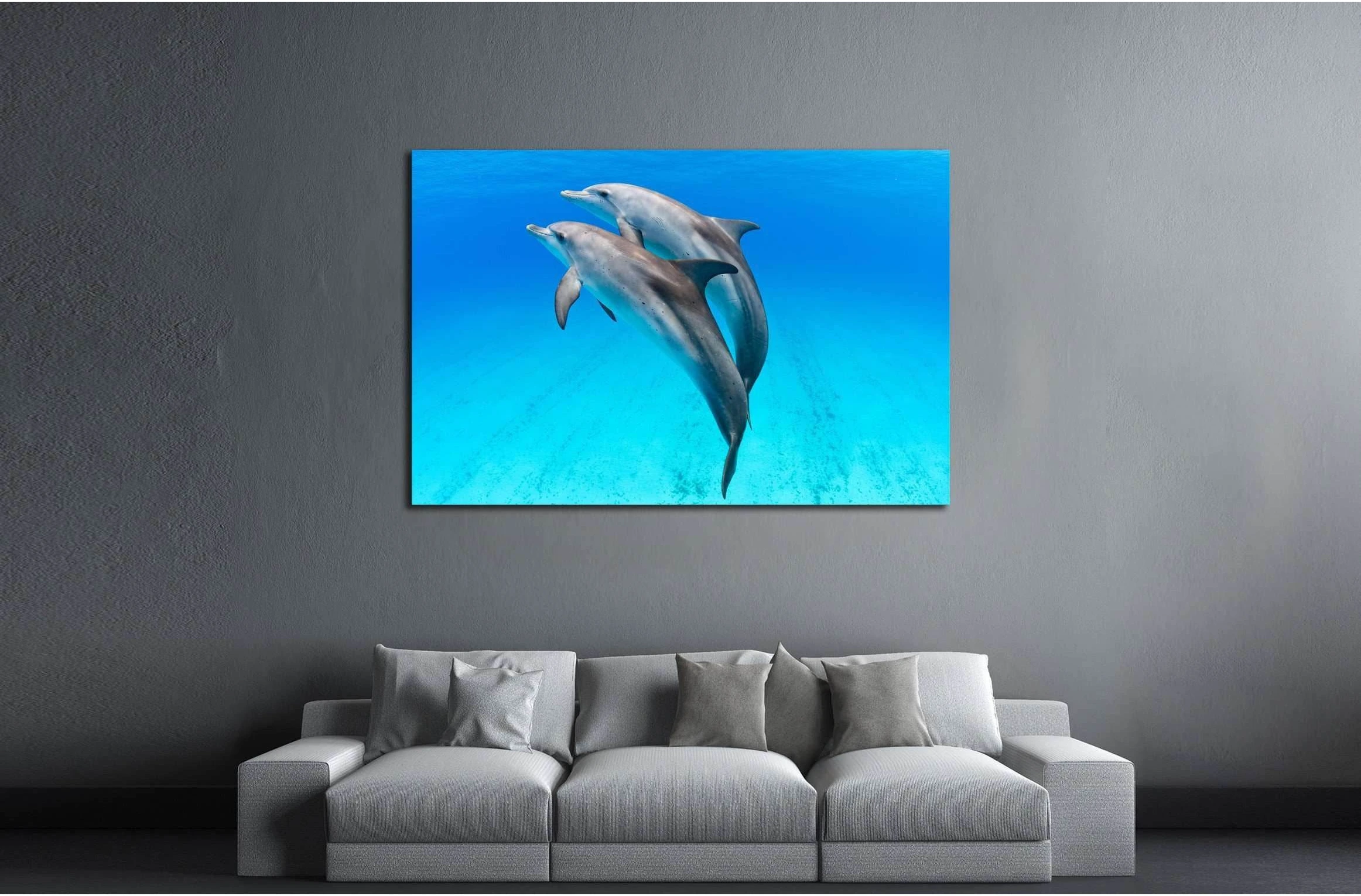 A playful dolphin duo in the seas of the Bahamas №2369 Ready to Hang Canvas Print - Zellart Canvas Prints ALL_Products, s-2369