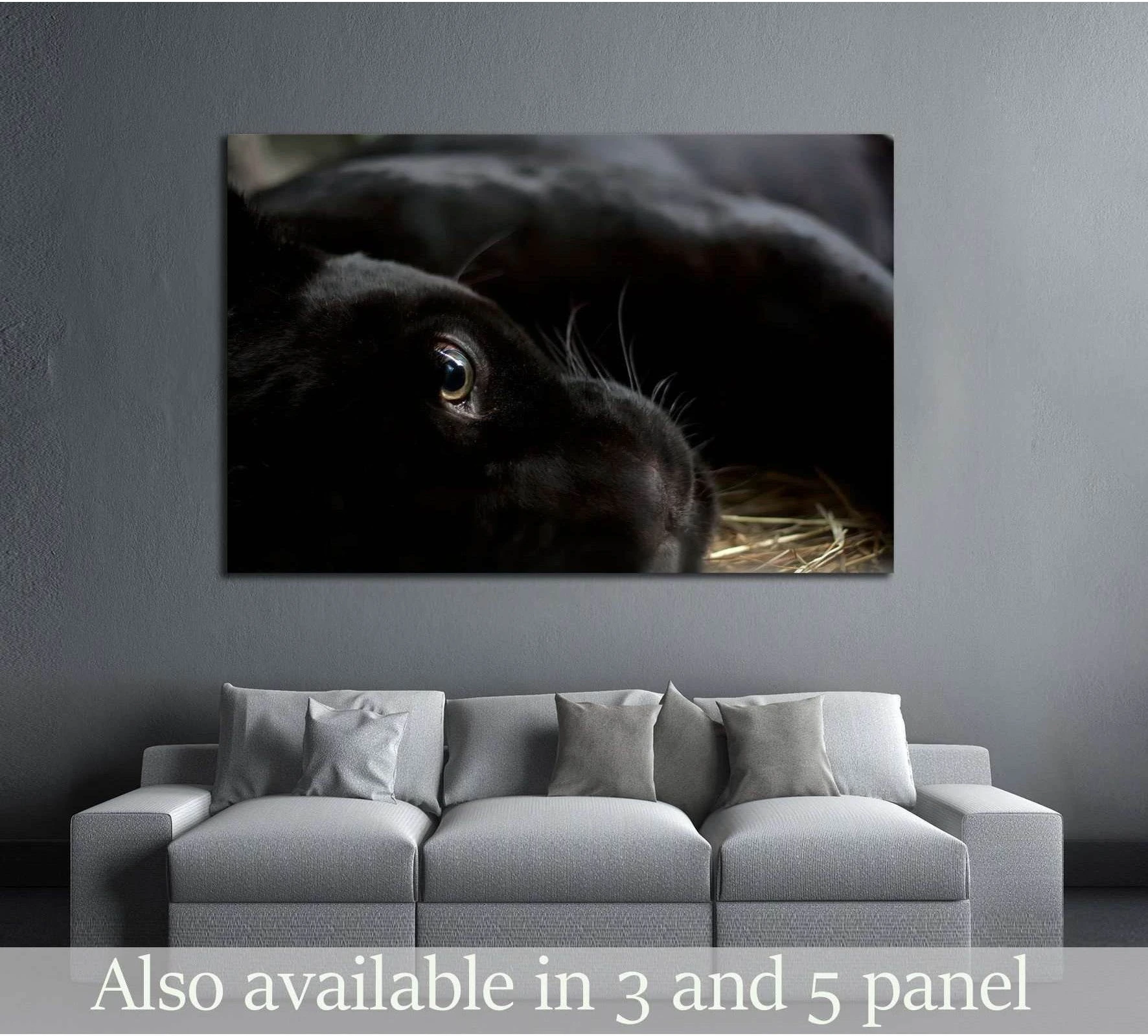 Black rabbit canvas print with close-up eye detail above a sofa in a modern gray living room