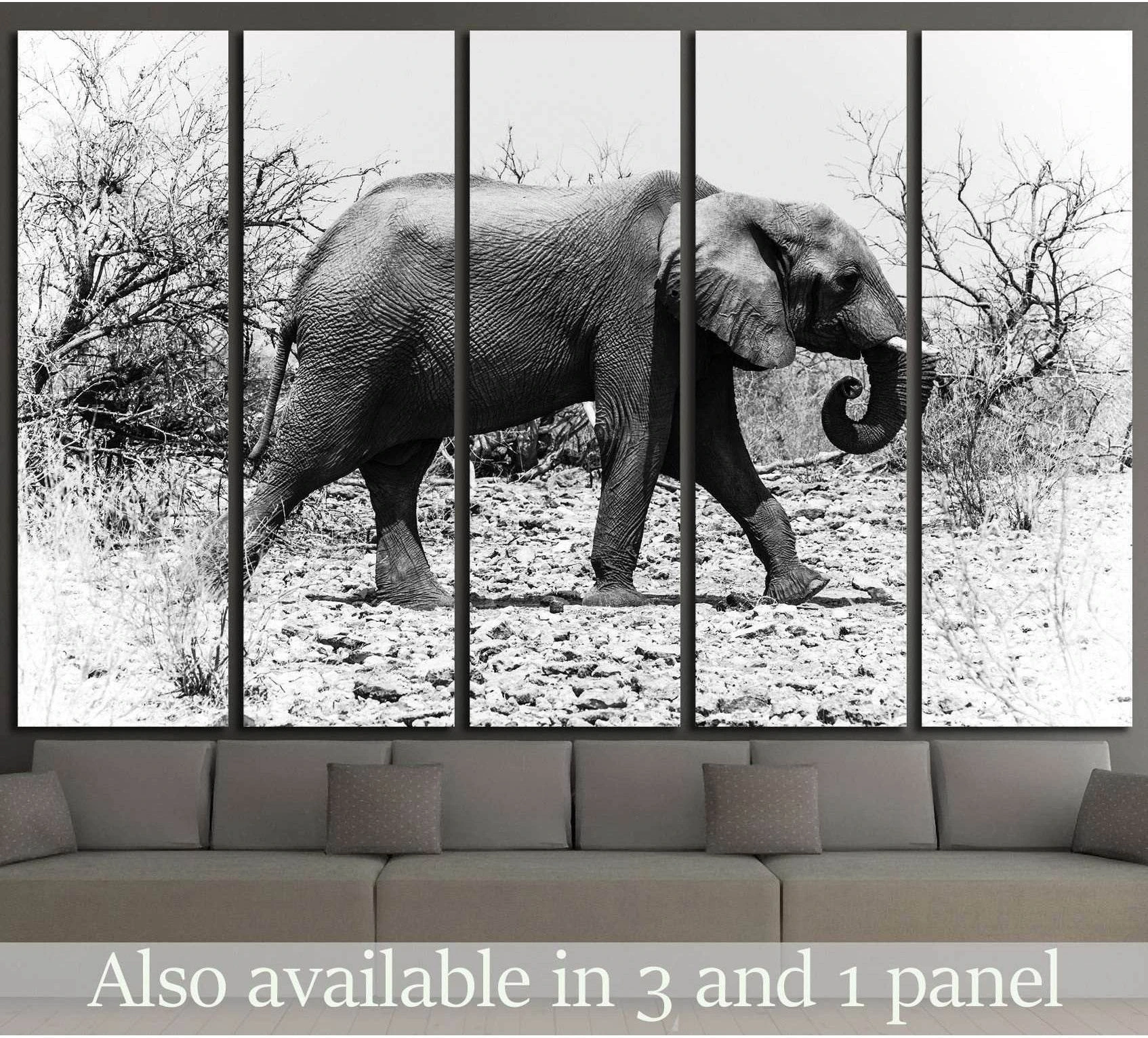 Black and white African elephant canvas print walking through dry Botswana bush