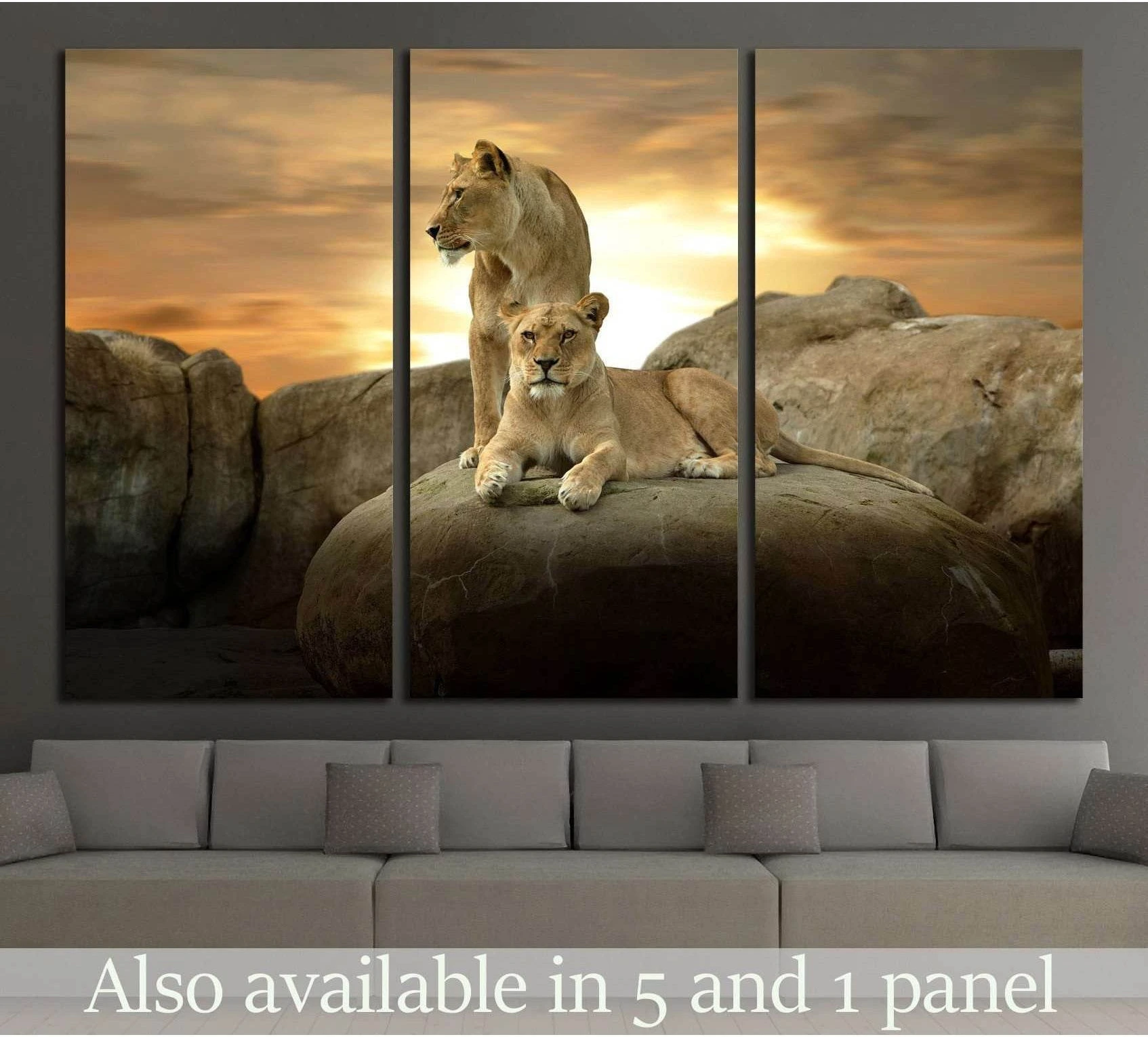 Two lionesses on rocky outcrop at sunset triptych canvas print above sofa