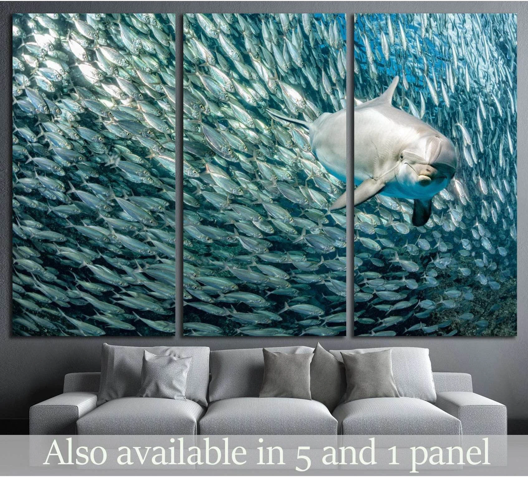 Amazing Dolphin showing blue ocean wall art with water and coastal depth.