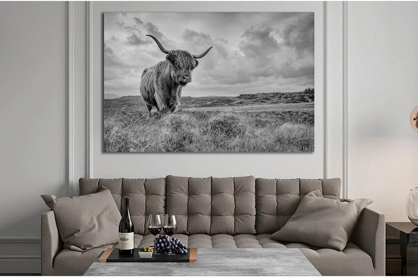 A black and white photograph of a Highland cow in a field of tall grass, with a dramatic sky and mountains in the background.