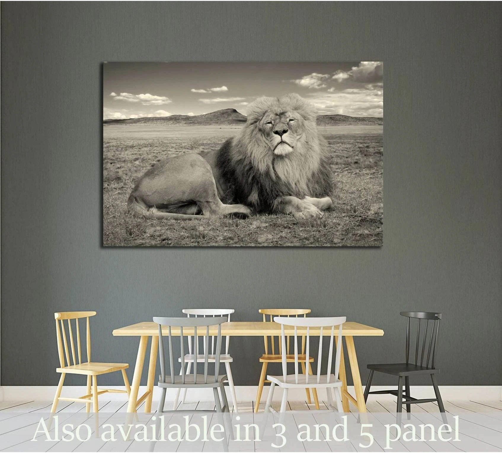 Sepia African lion canvas print above dining table in a modern room with open savannah background