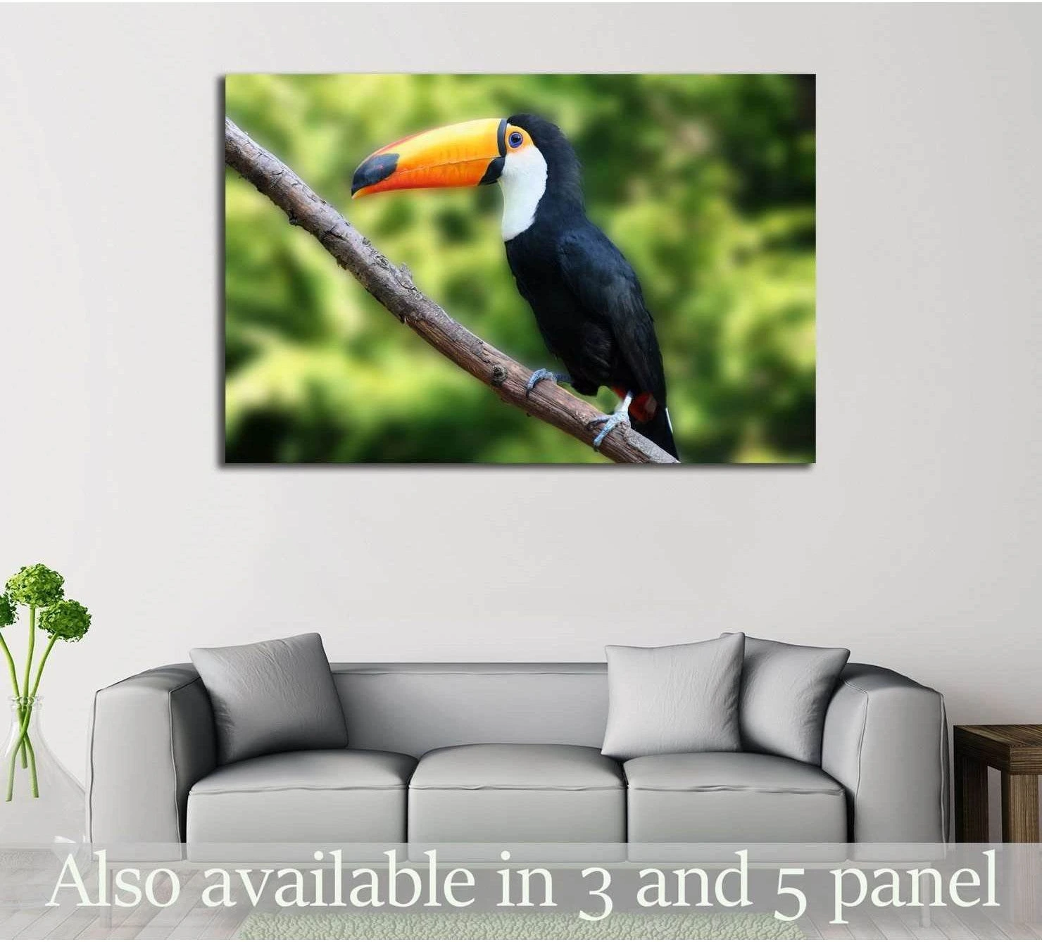 Toucan canvas print with orange beak perched on a branch against a soft green tropical background