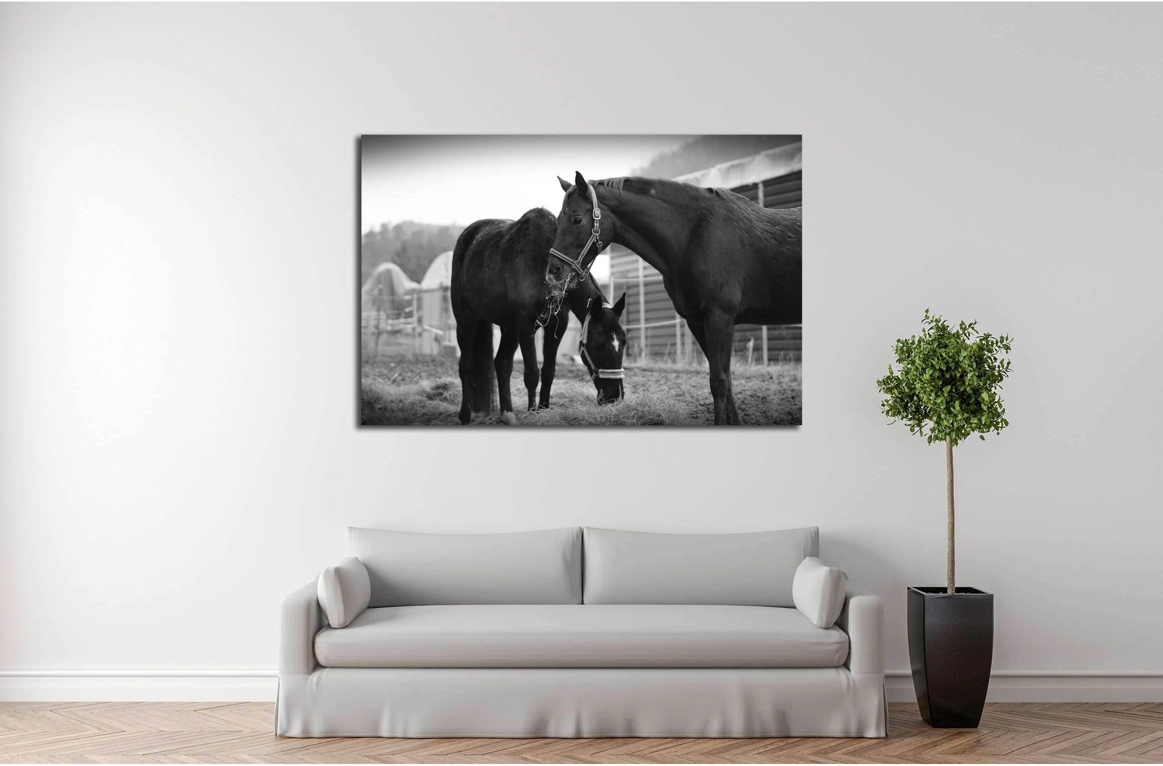 Black and white horse wall art №5008 - Zellart Canvas Prints ALL_Products, Horses, s-5008