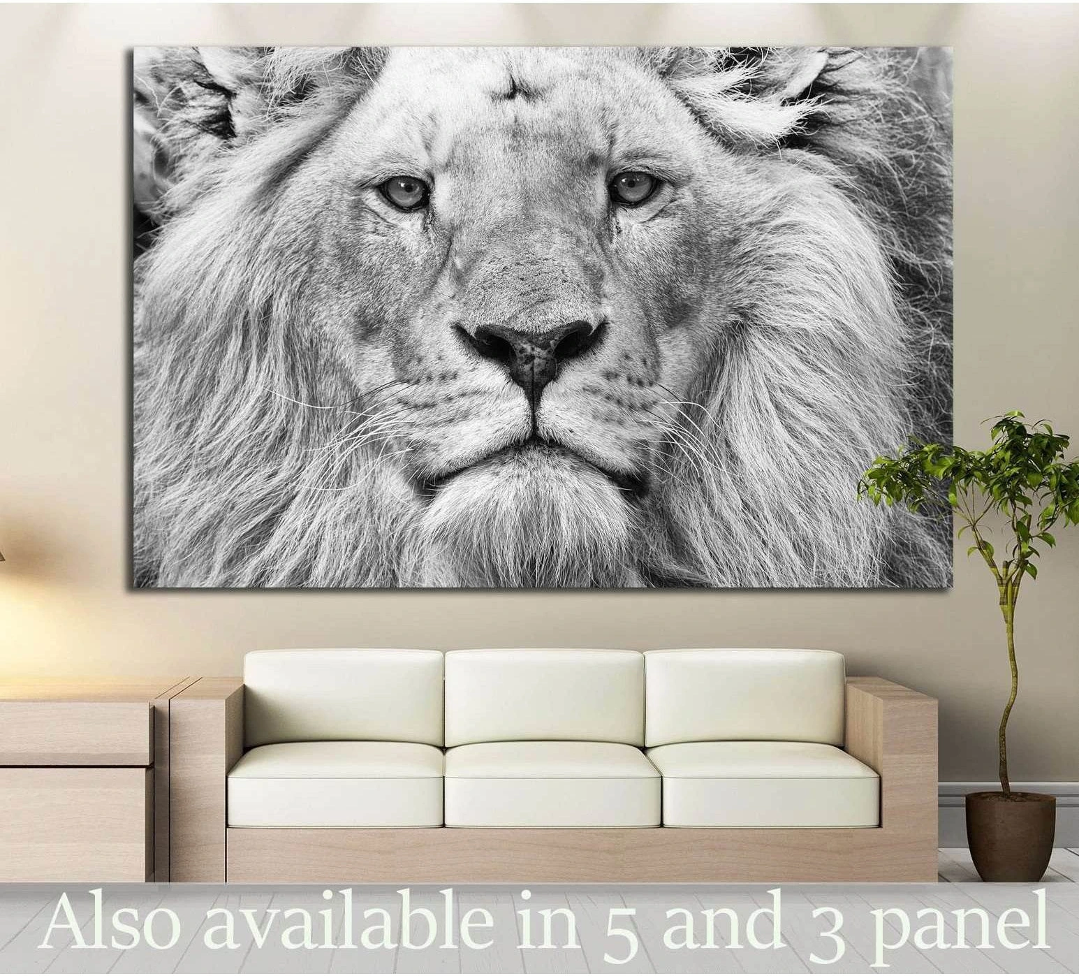 Black and white lion canvas print with close-up grayscale portrait hung above a sofa in a modern living room