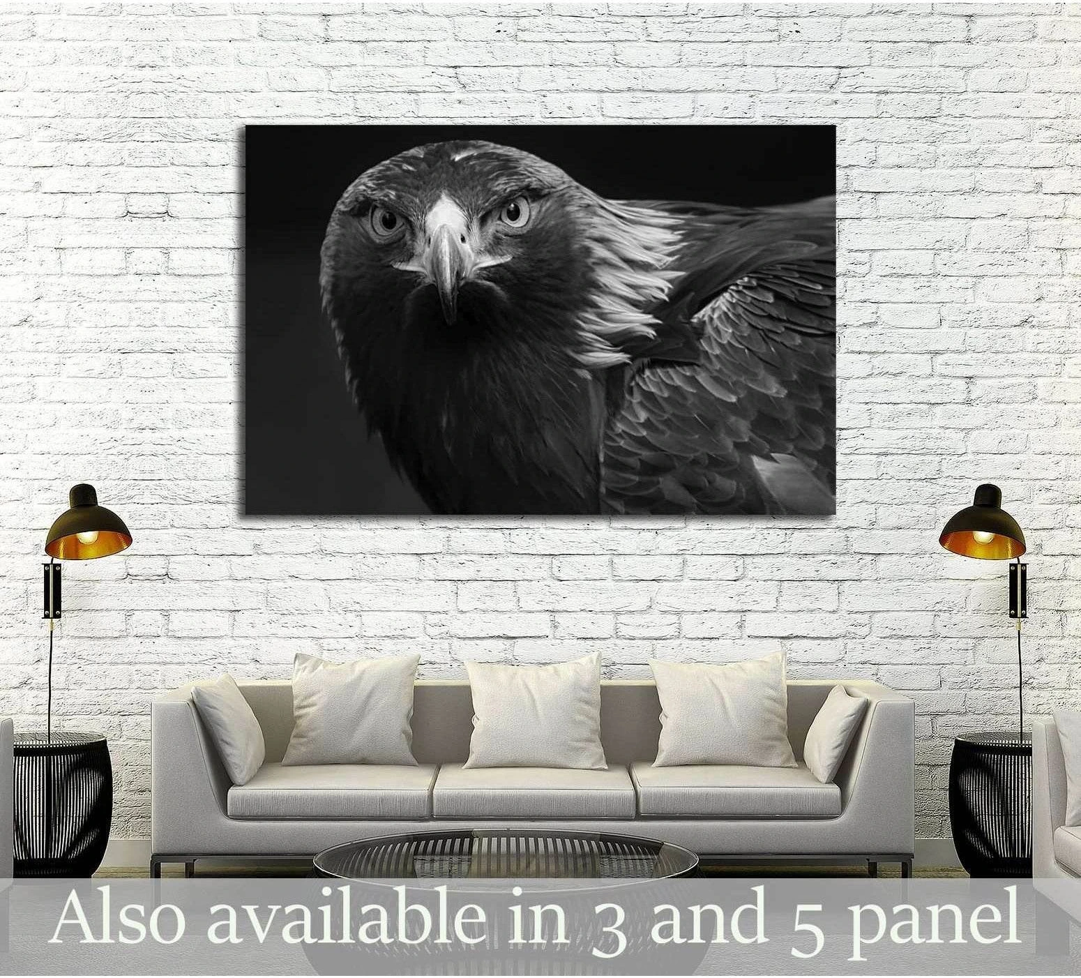 black and white photo of a golden eagle in captivity in a zoo showing blue ocean wall art with water and coastal depth.