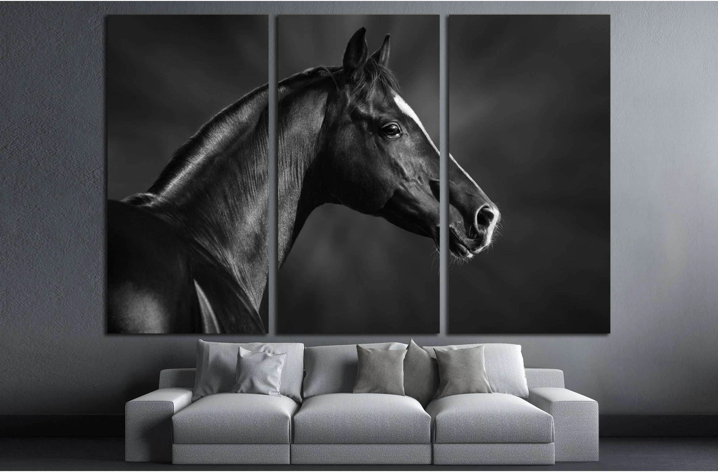 Black and white portrait of arabian horse №3259 Ready to Hang Canvas Print - Zellart Canvas Prints ALL_Products, Horses, s-3259