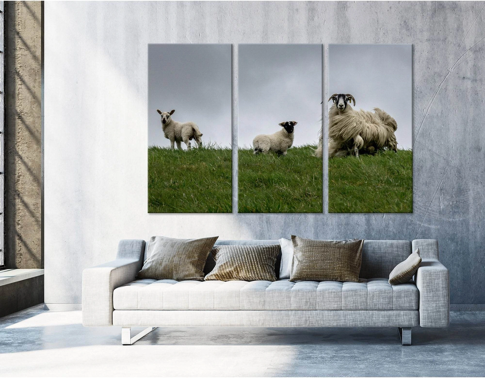 Black-face Sheeps In The Wind, Scotland №04236 Ready to Hang Canvas Print - Zellart Canvas Prints ALL_Products