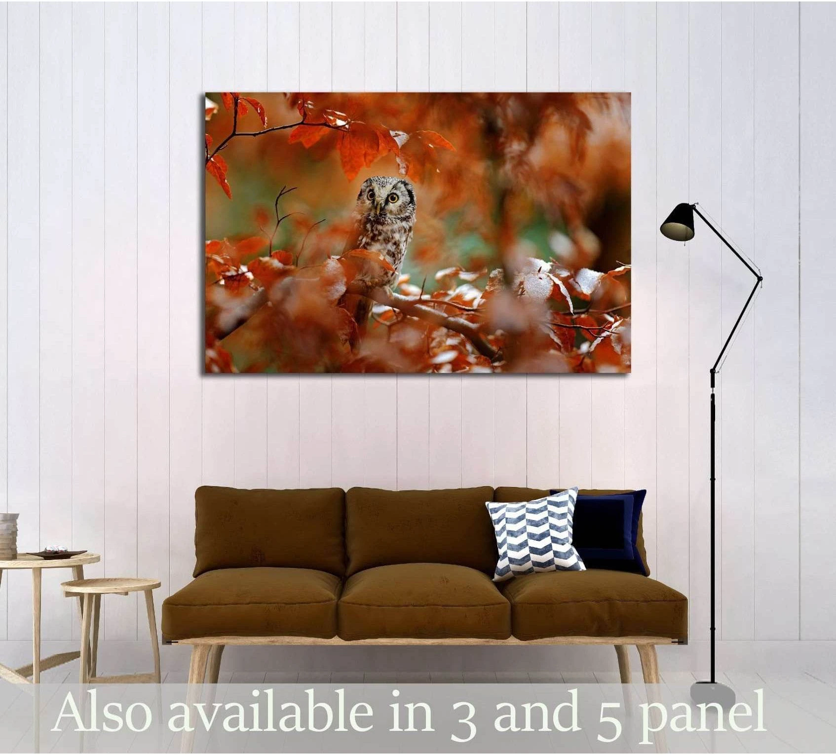 Boreal owl, Aegolius funereus, in the orange larch autumn forest in central Europe showing blue ocean wall art with water and coastal depth.