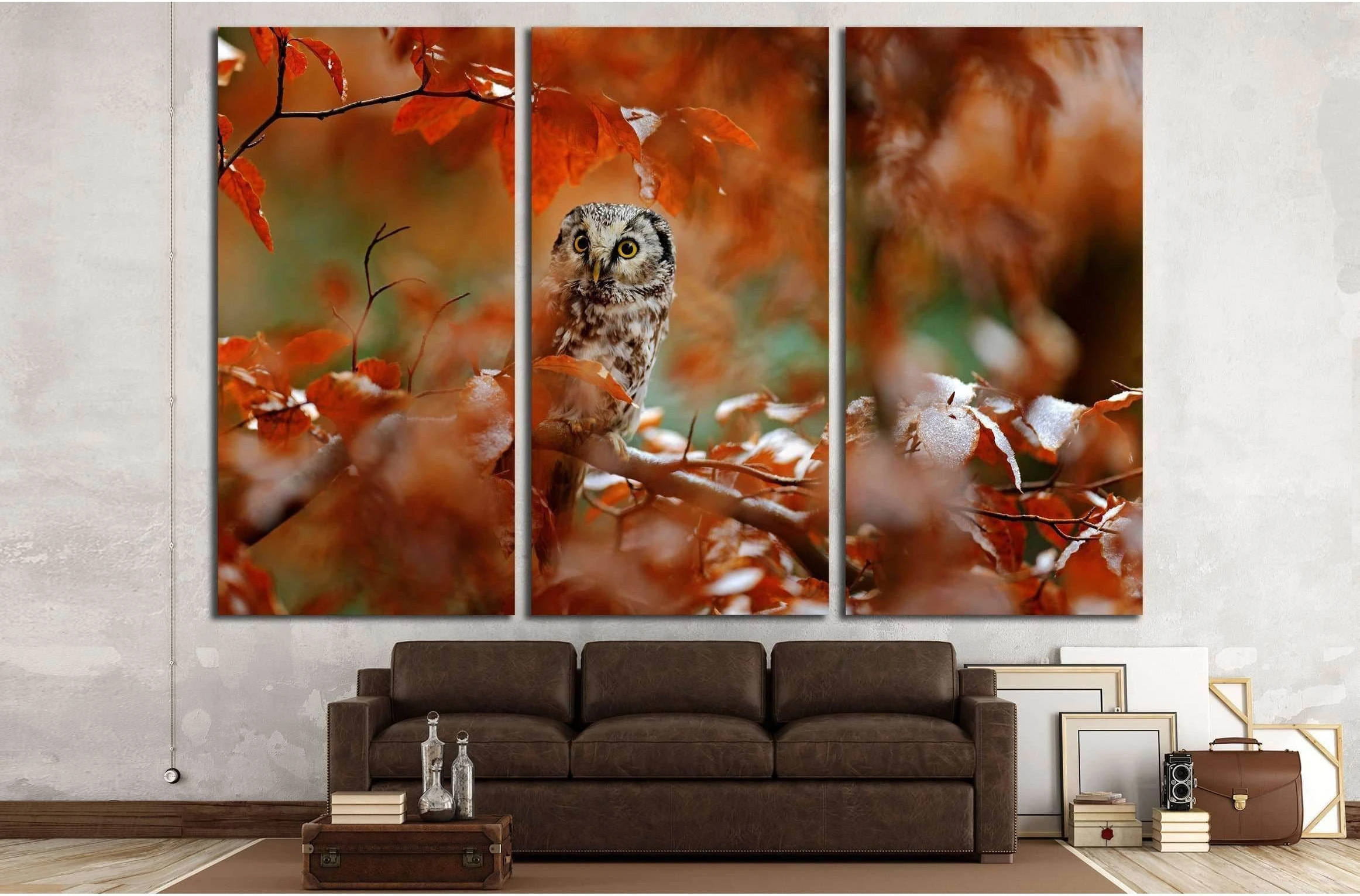Boreal owl, Aegolius funereus, in the orange larch autumn forest in central Europe №2801 Ready to Hang Canvas Print - Zellart Canvas Prints ALL_Products, Owl, s-2801