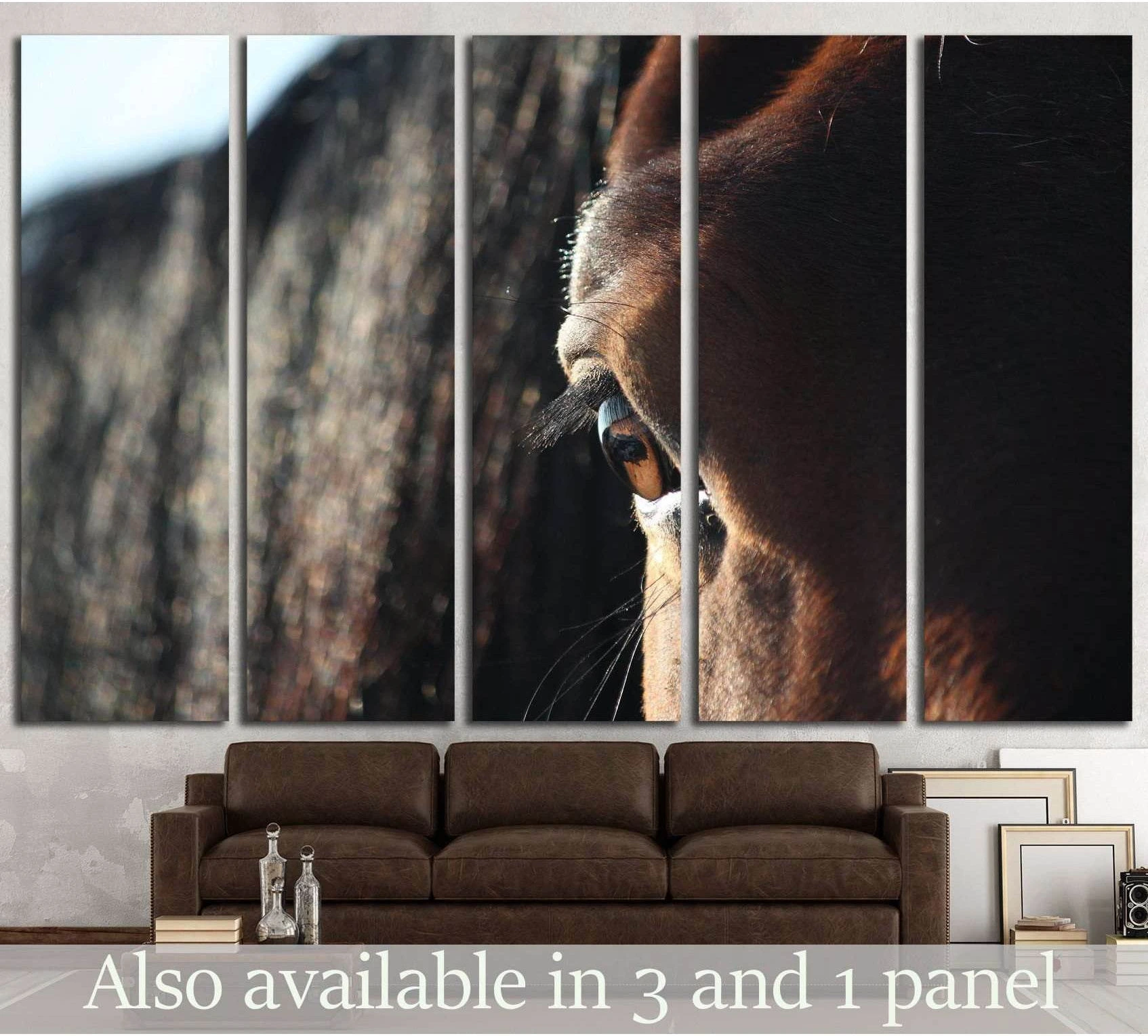 Brown horse eye close-up canvas print displayed as multi-panel wall art above a sofa