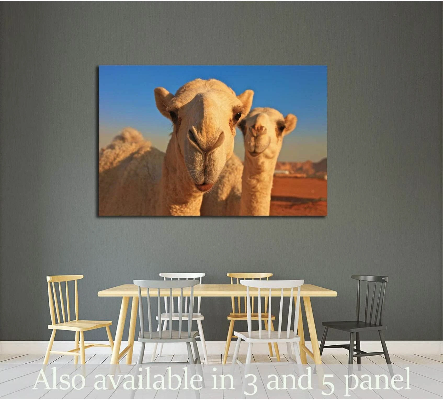 Two camels close up in a desert landscape canvas print above a dining table in a modern room