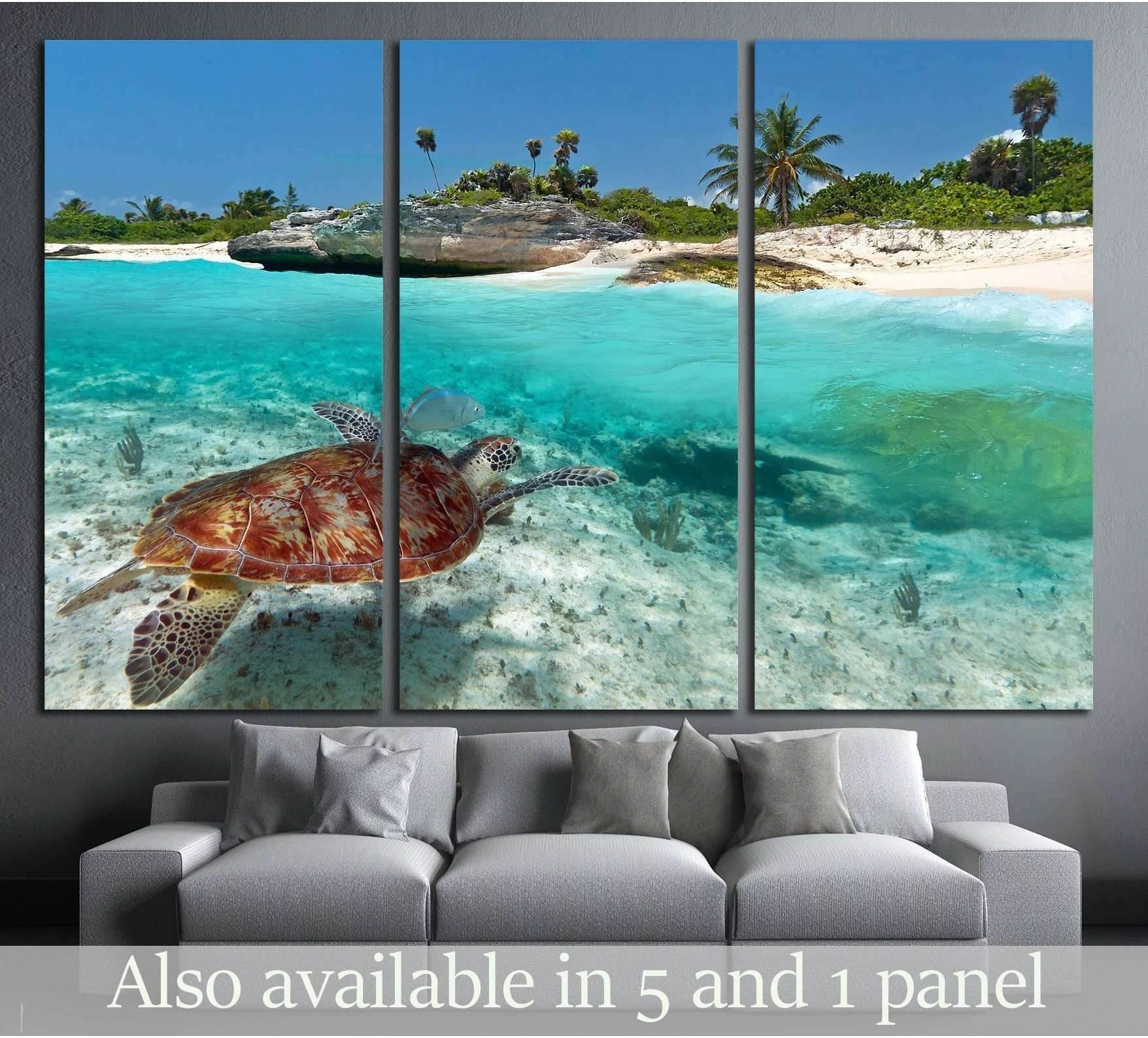 Triptych sea turtle canvas print in clear turquoise Caribbean water above sofa in coastal living room