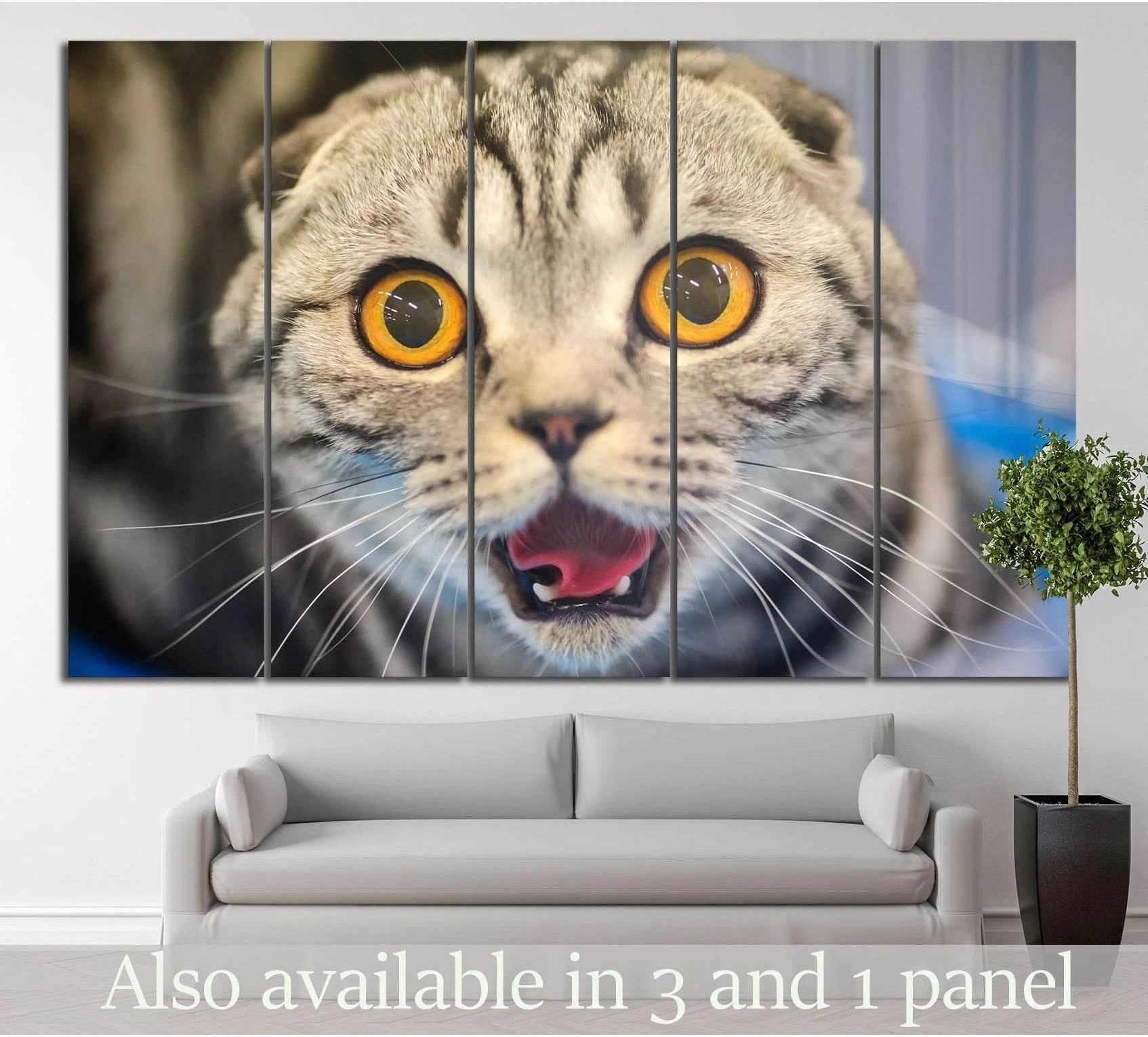 Close-up yellow eyed tabby cat canvas print with amber eyes, hung above a sofa