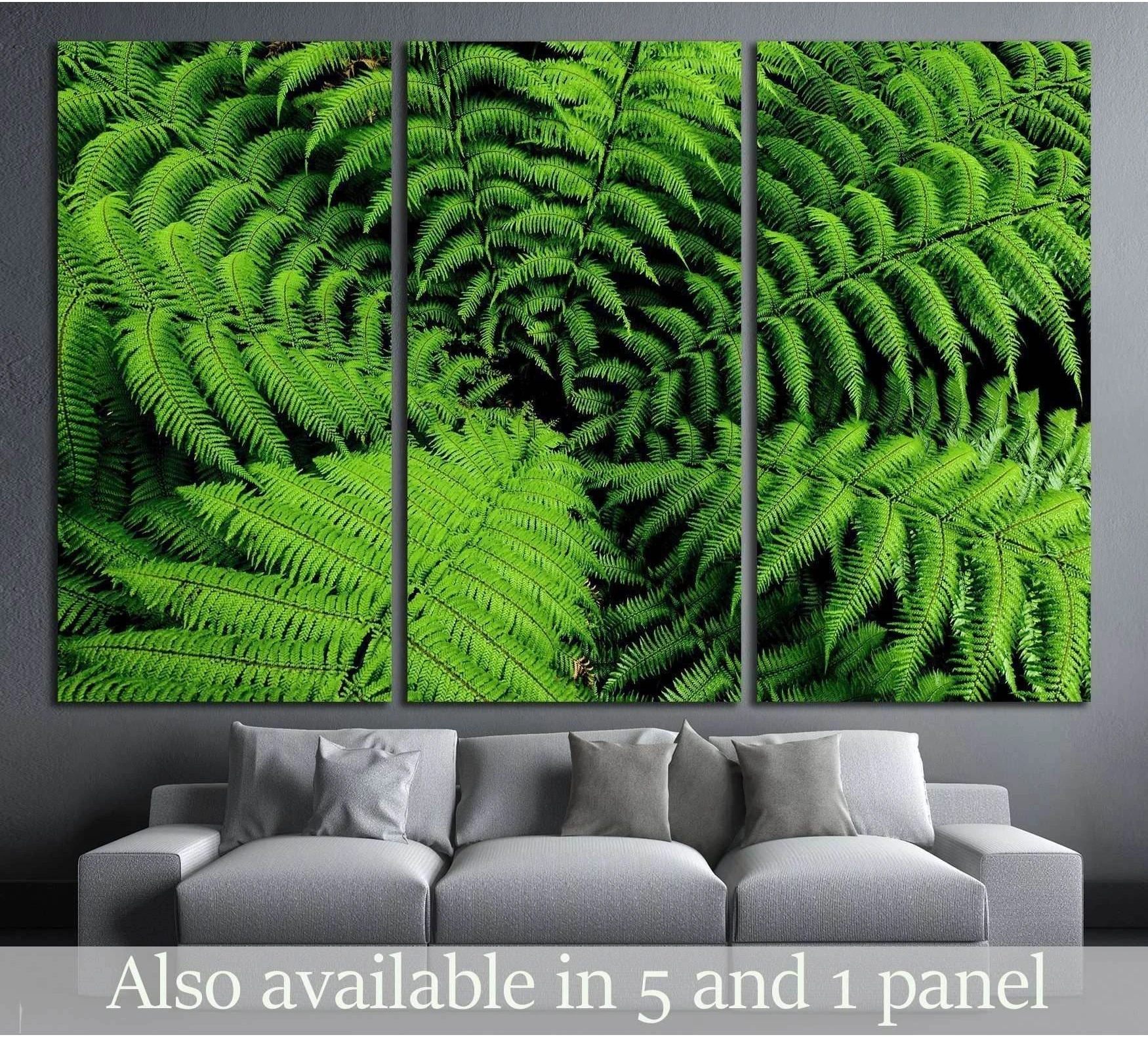 Close-up New Zealand tree fern canvas print with lush green spiral fronds in triptych format