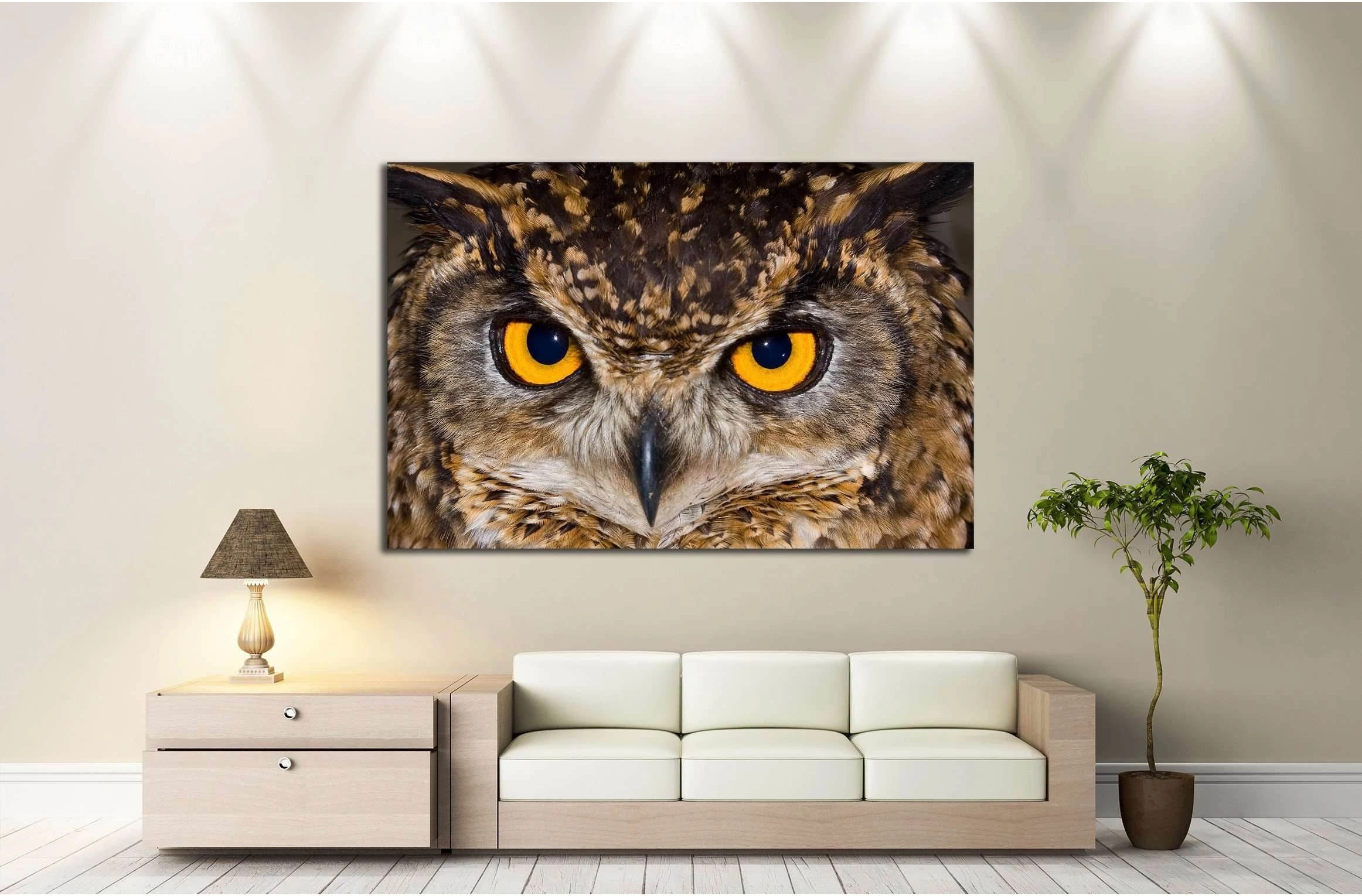 Close-up of a Cape Eagle Owl with large piercing yellow eyes №2333 Ready to Hang Canvas Print - Zellart Canvas Prints ALL_Products, Owl, s-2333