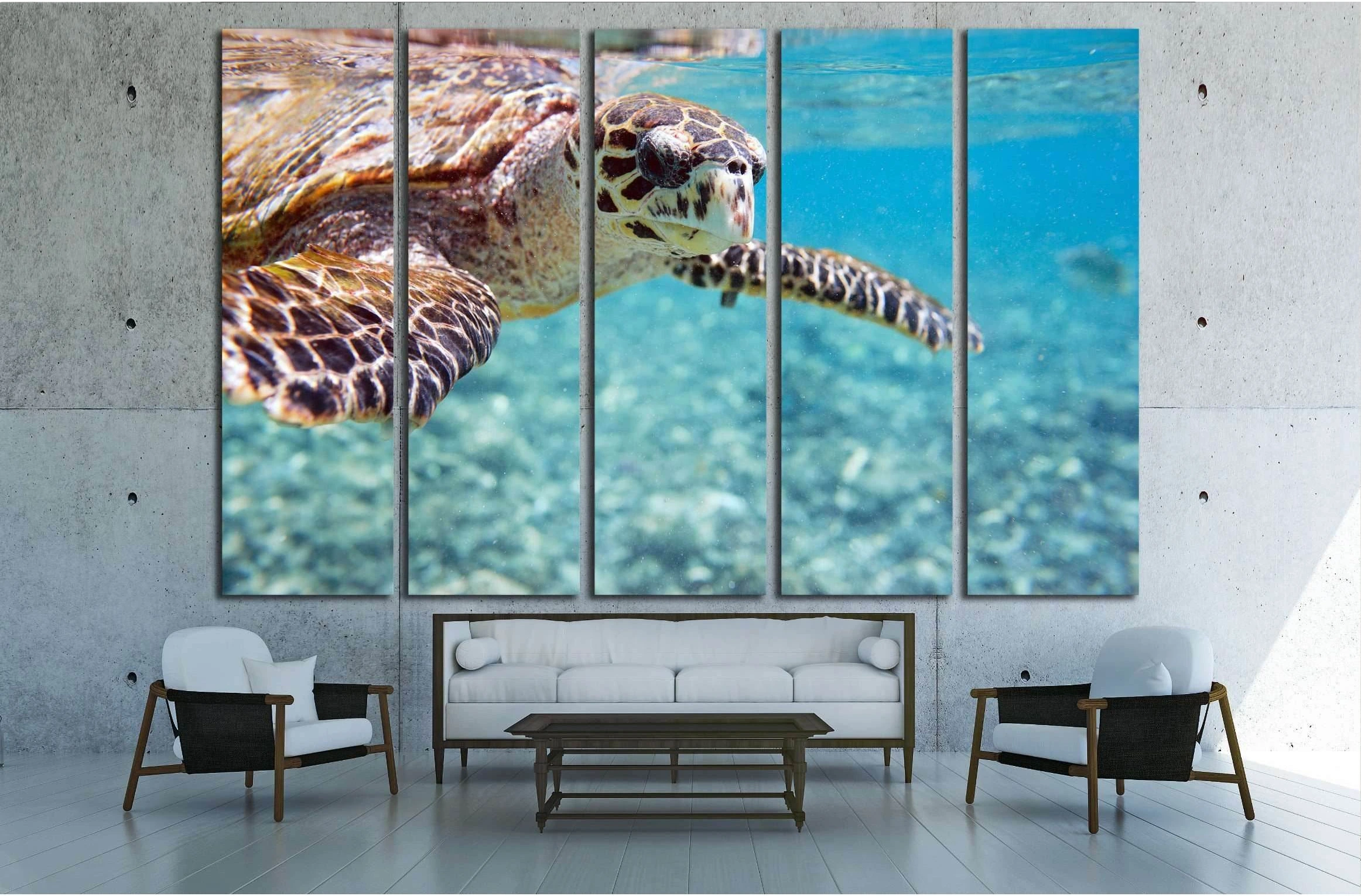 Close up of Hawksbill sea turtle swimming in Indian ocean in Seychelles №2337 Ready to Hang Canvas Print - Zellart Canvas Prints ALL_Products, s-2337
