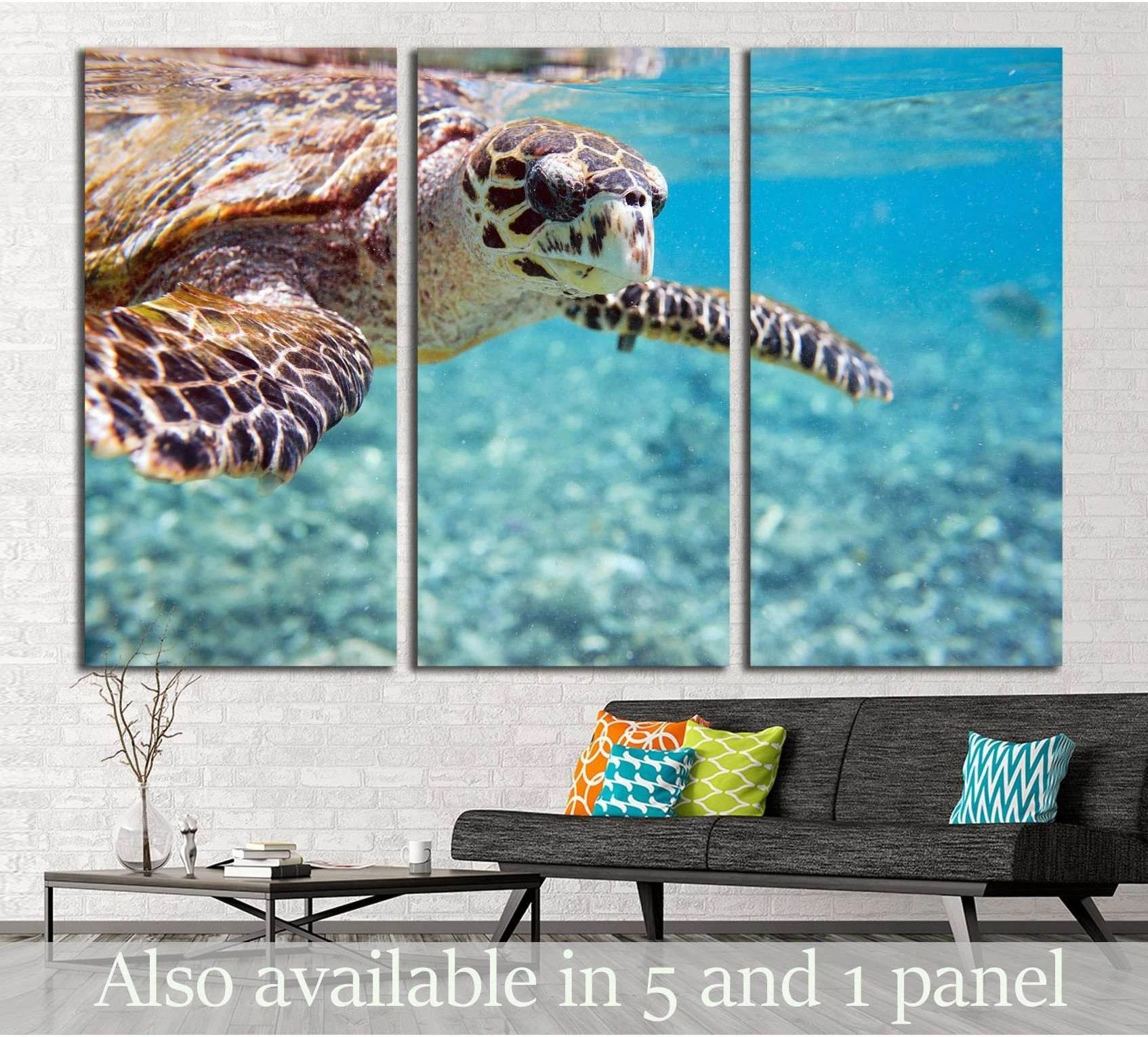 Close-up hawksbill sea turtle canvas print swimming in turquoise water above a modern sofa
