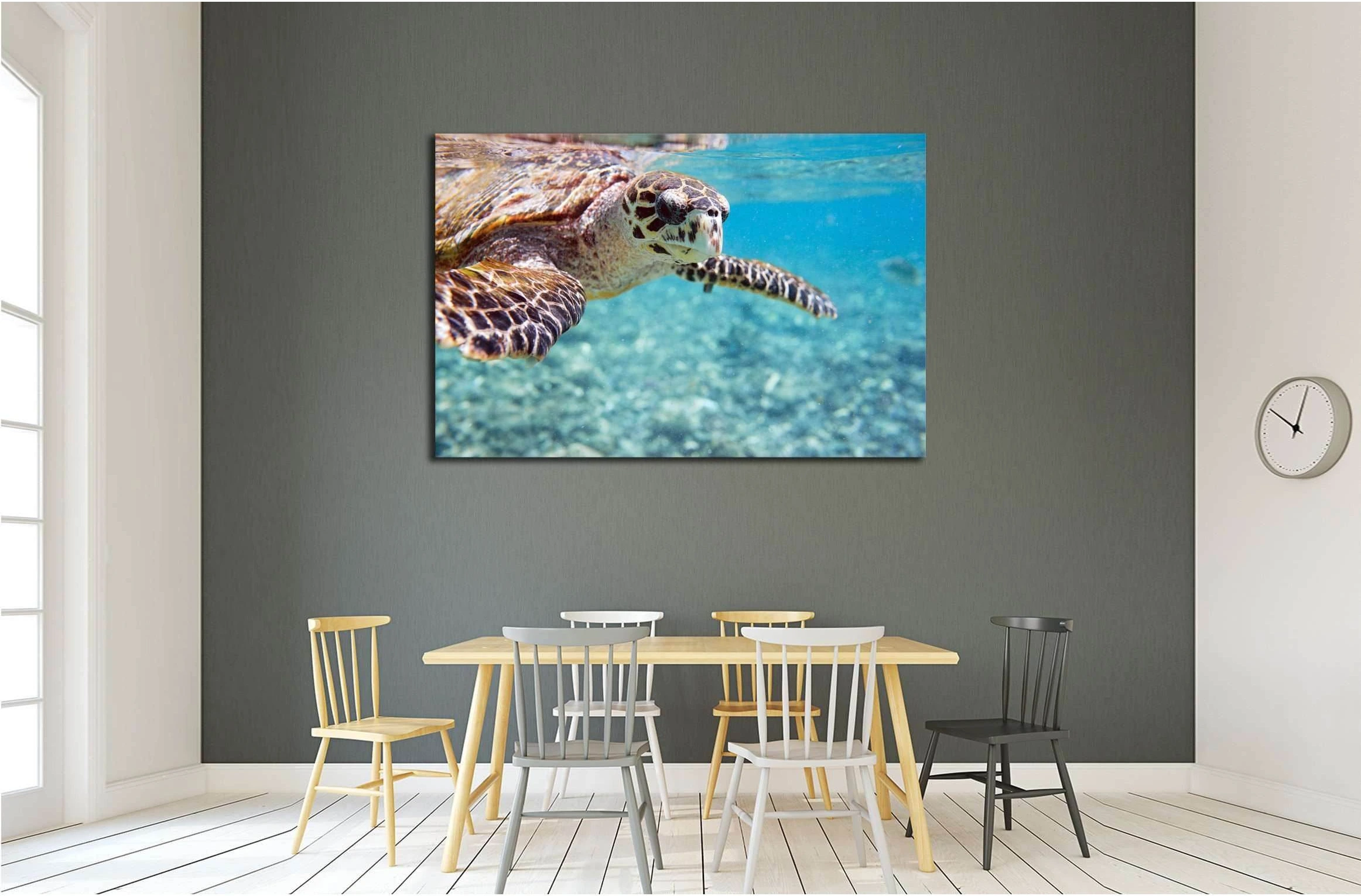 Close up of Hawksbill sea turtle swimming in Indian ocean in Seychelles №2337 Ready to Hang Canvas Print - Zellart Canvas Prints ALL_Products, s-2337