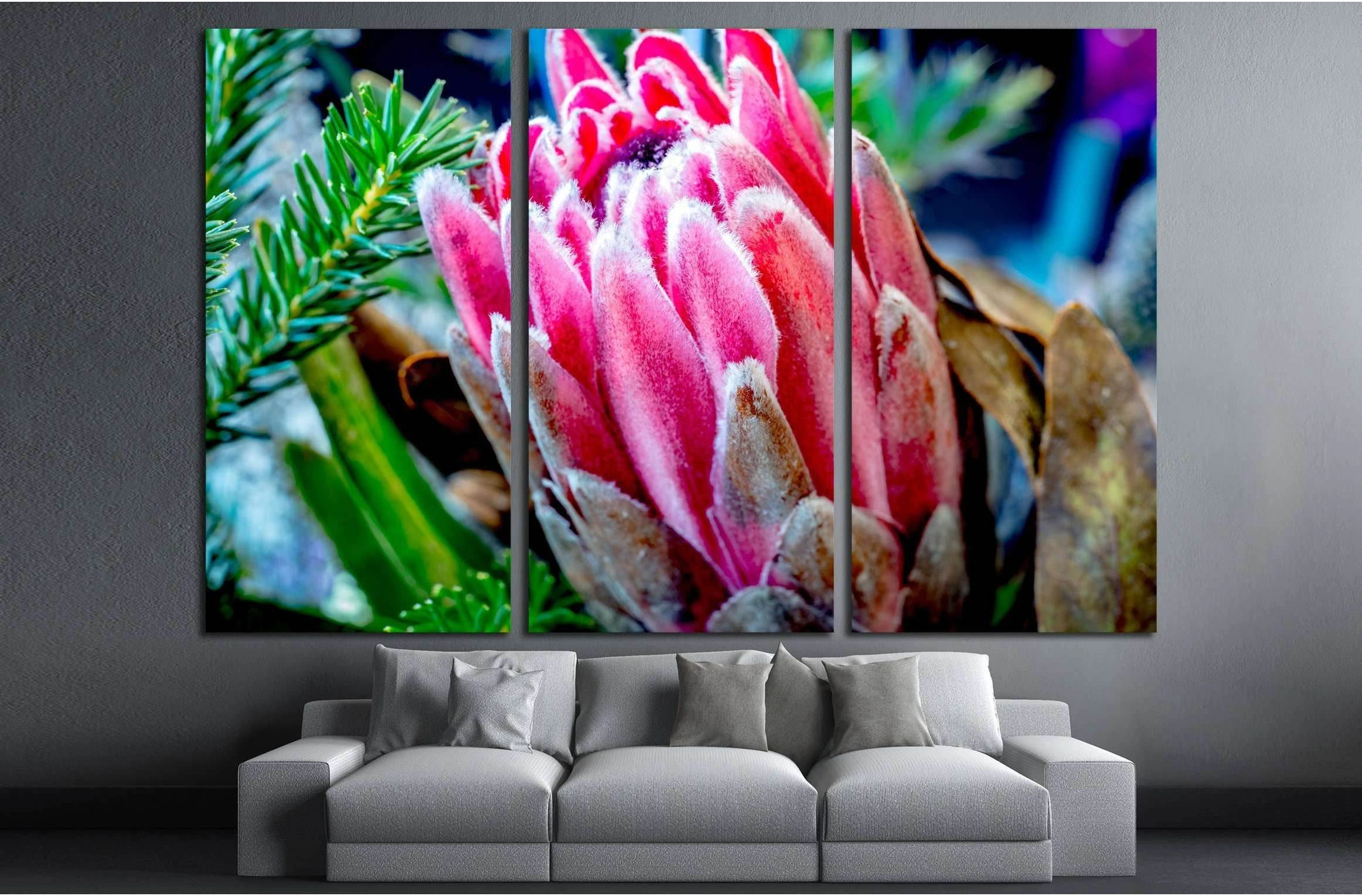 Close up of Protea flower №3271 Ready to Hang Canvas Print - Zellart Canvas Prints ALL_Products, s-3271