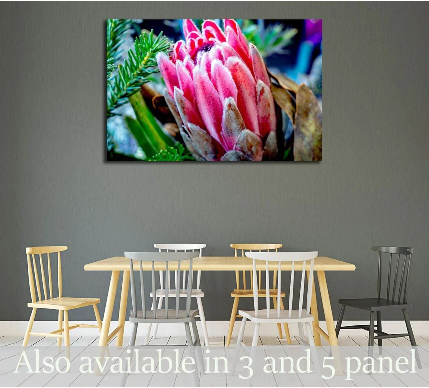 Close-up pink protea flower canvas print hung above a dining table in a modern gray room