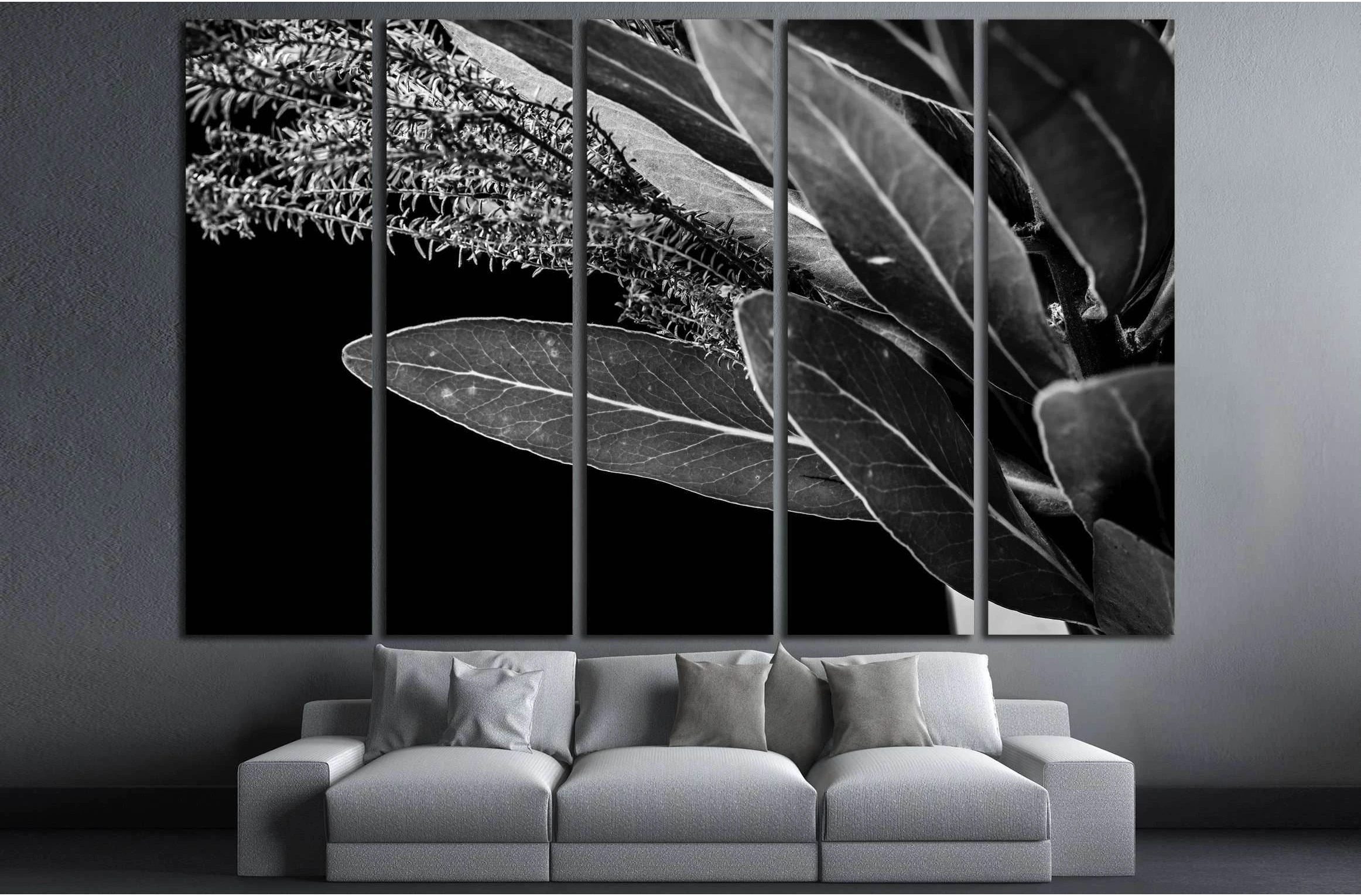 Close up of Protea (leaf) flowers №2827 Ready to Hang Canvas Print - Zellart Canvas Prints ALL_Products, s-2827