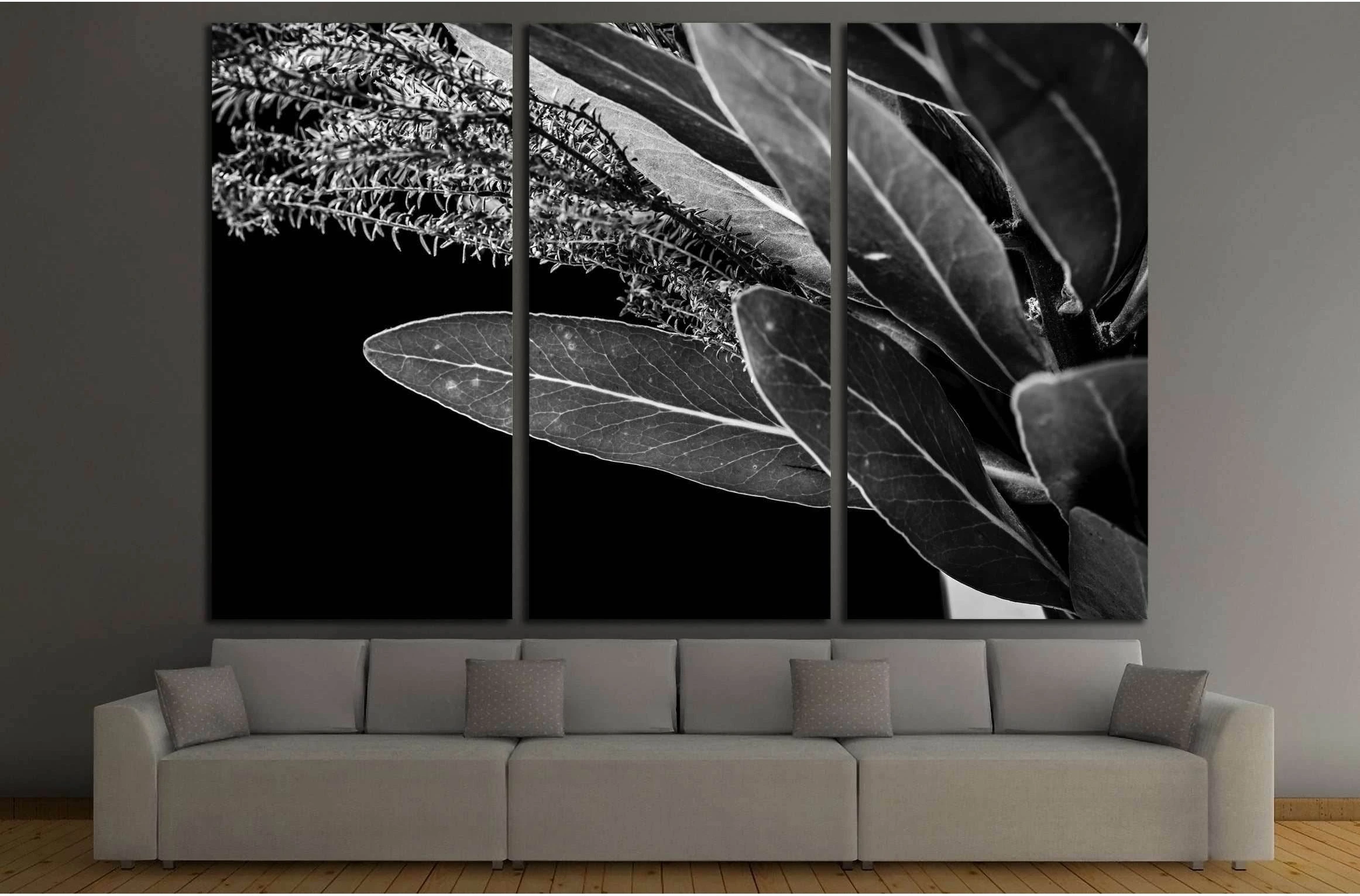 Close up of Protea (leaf) flowers №2827 Ready to Hang Canvas Print - Zellart Canvas Prints ALL_Products, s-2827