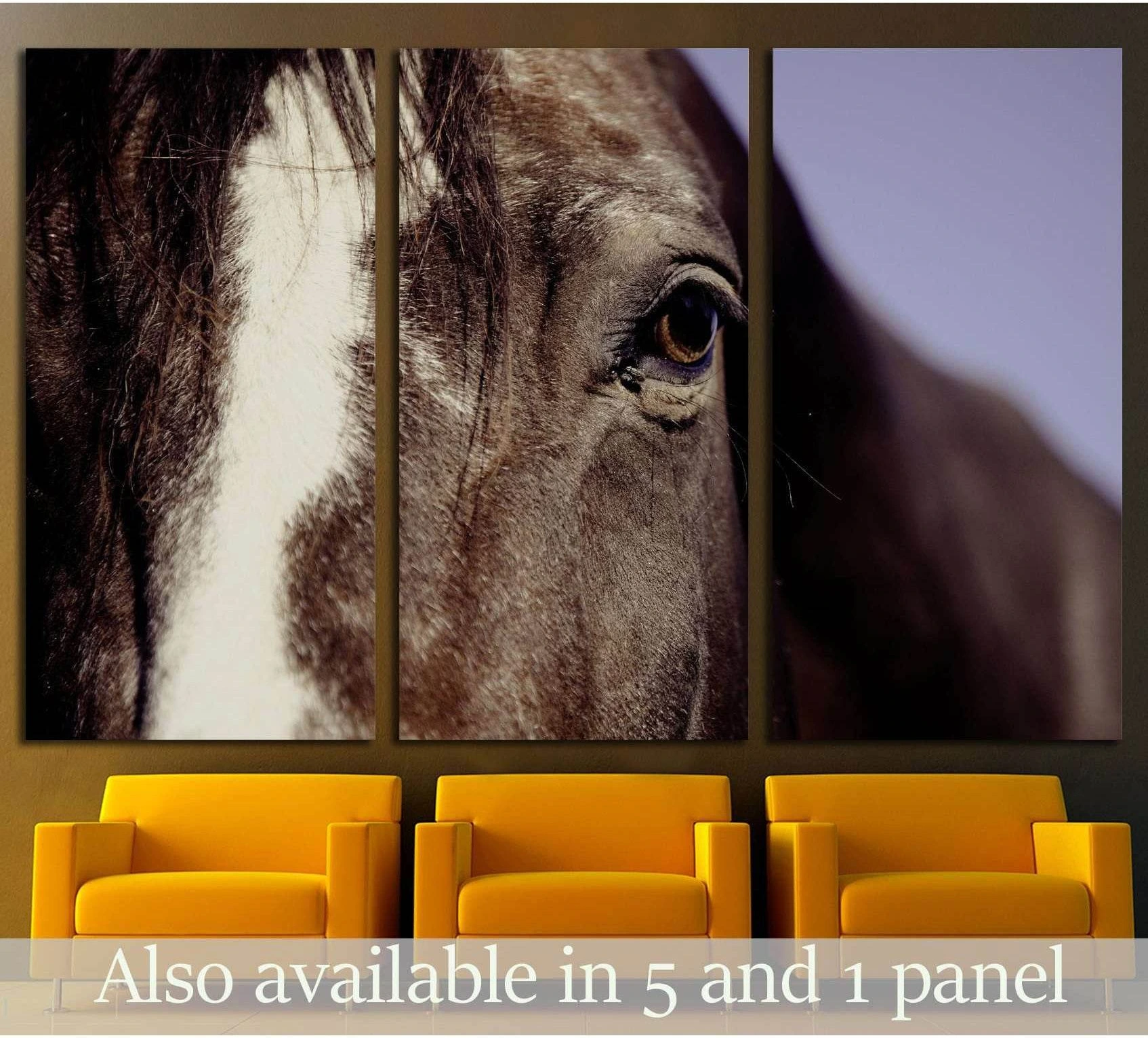 Closeup horse canvas print №5017 - Zellart Canvas Prints ALL_Products, Horses, s-5017