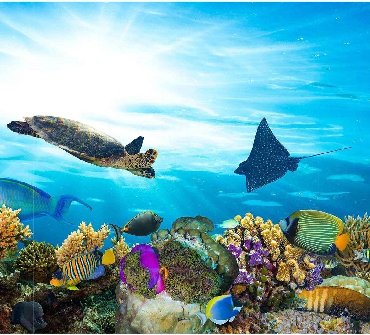 Colorful Coral Reef Large Ready to Hang Canvas Print №45 Ready to Hang Canvas Print - Zellart Canvas Prints ALL_Products, s-45