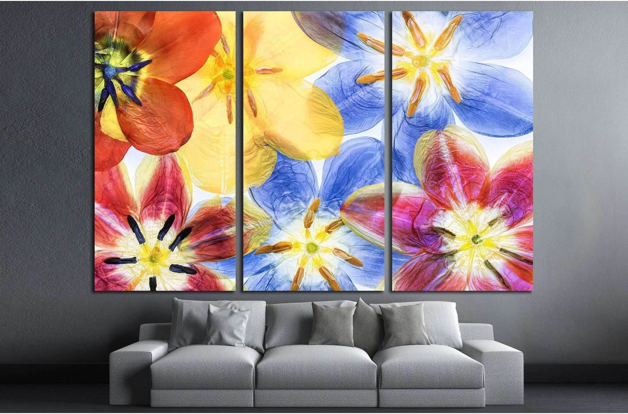 Colourful pressed tulip flowers №1354 Ready to Hang Canvas Print - Zellart Canvas Prints ALL_Products, s-1354