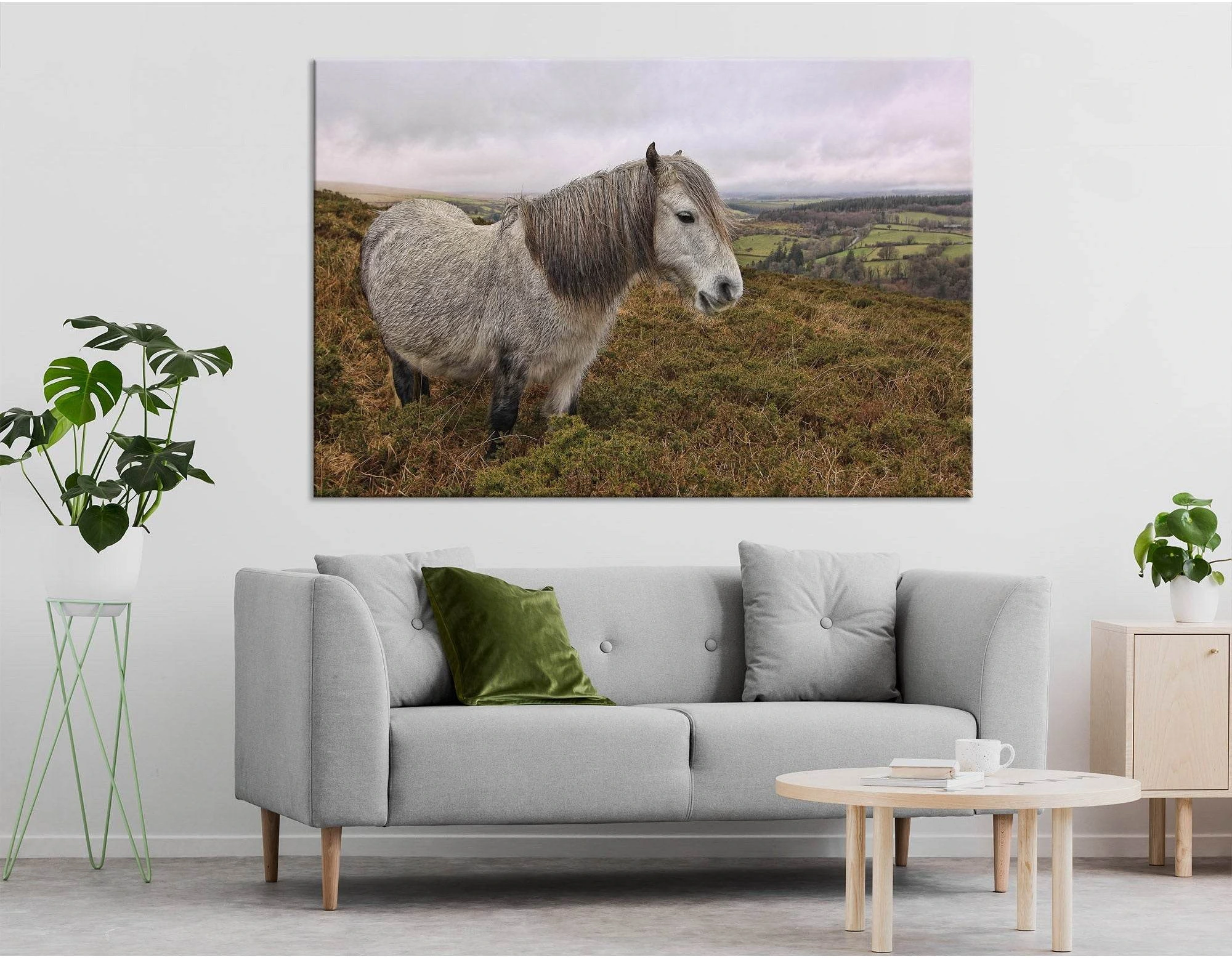 Dartmoor Pony Landscape №04250 Ready to Hang Canvas Print - Zellart Canvas Prints ALL_Products