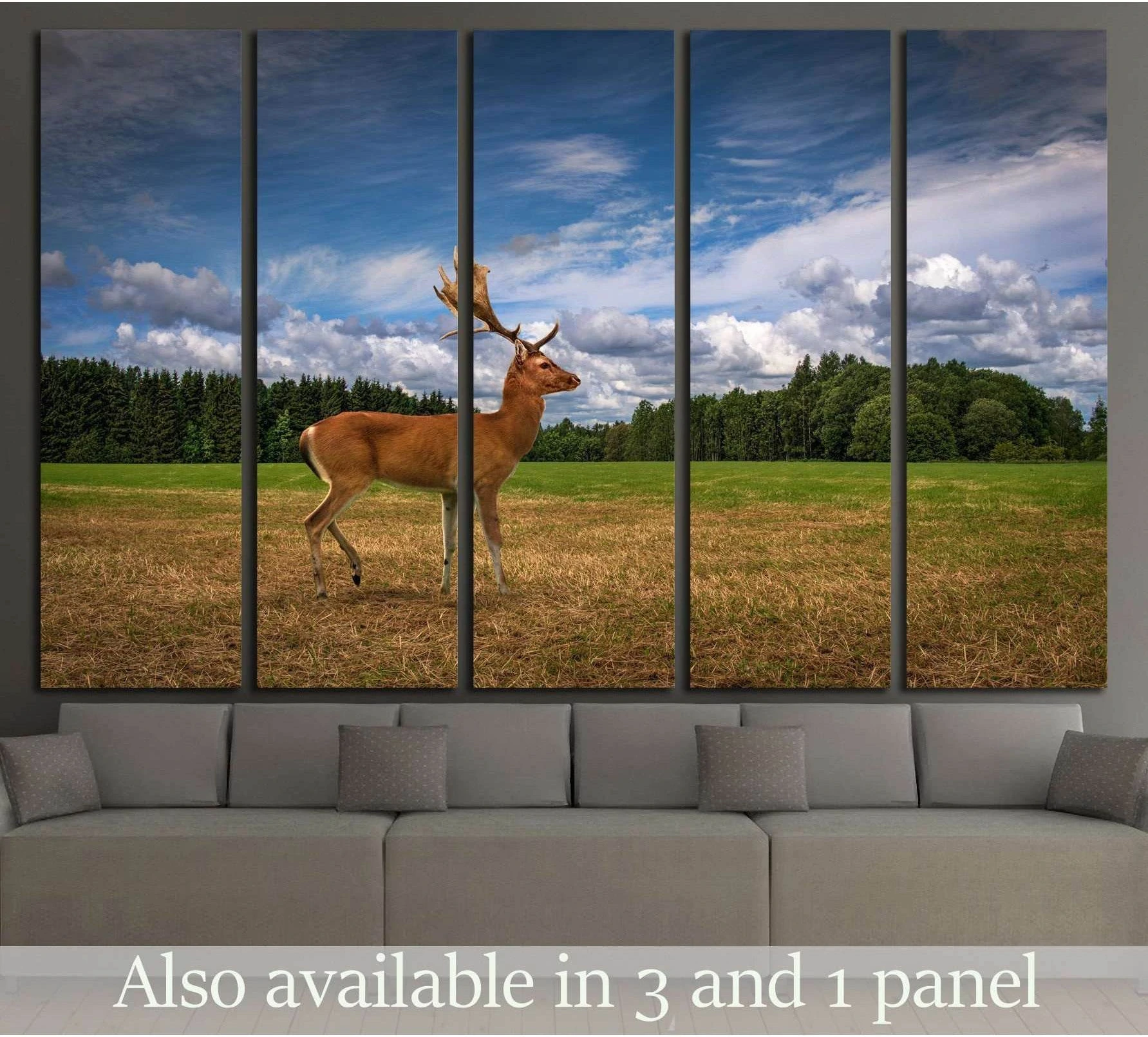 Deer canvas print featuring a stag standing in a meadow under blue sky, displayed above a sofa