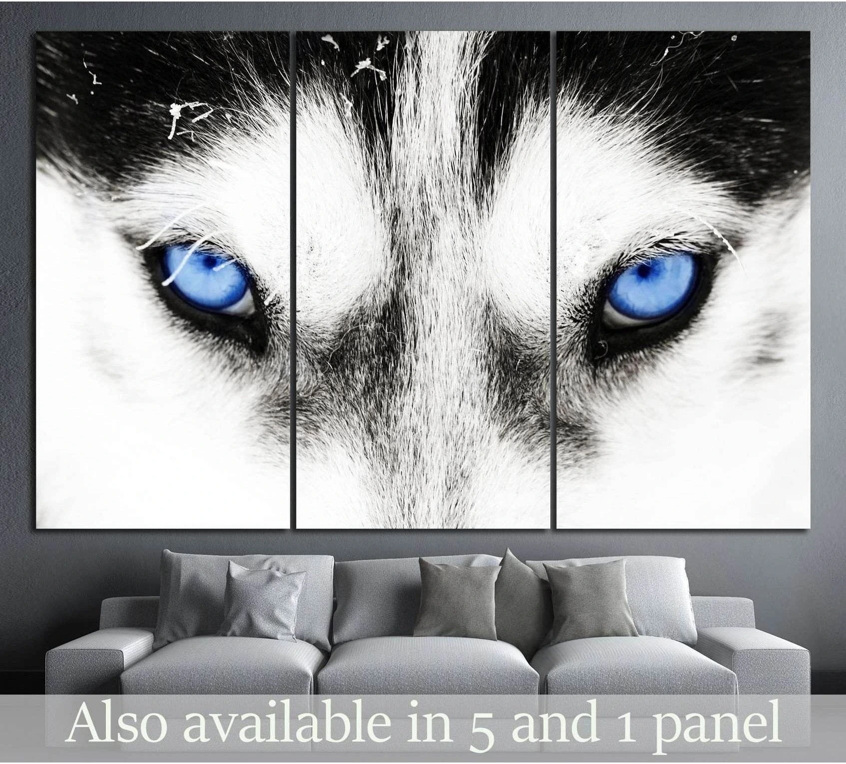 Black and white husky blue eyes triptych canvas print above gray sofa in modern living room