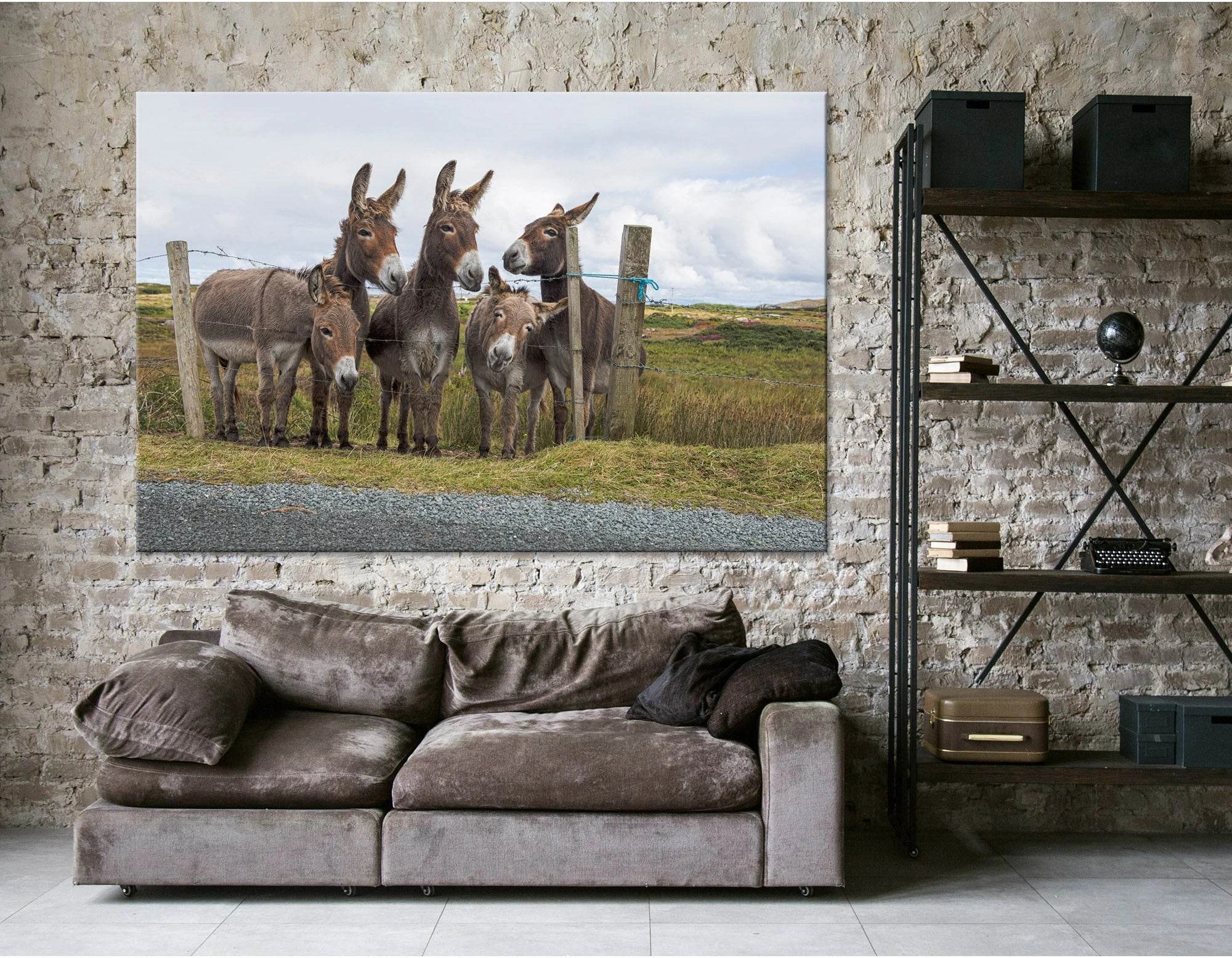 Donkeys In The Countryside №04252 Ready to Hang Canvas Print - Zellart Canvas Prints ALL_Products