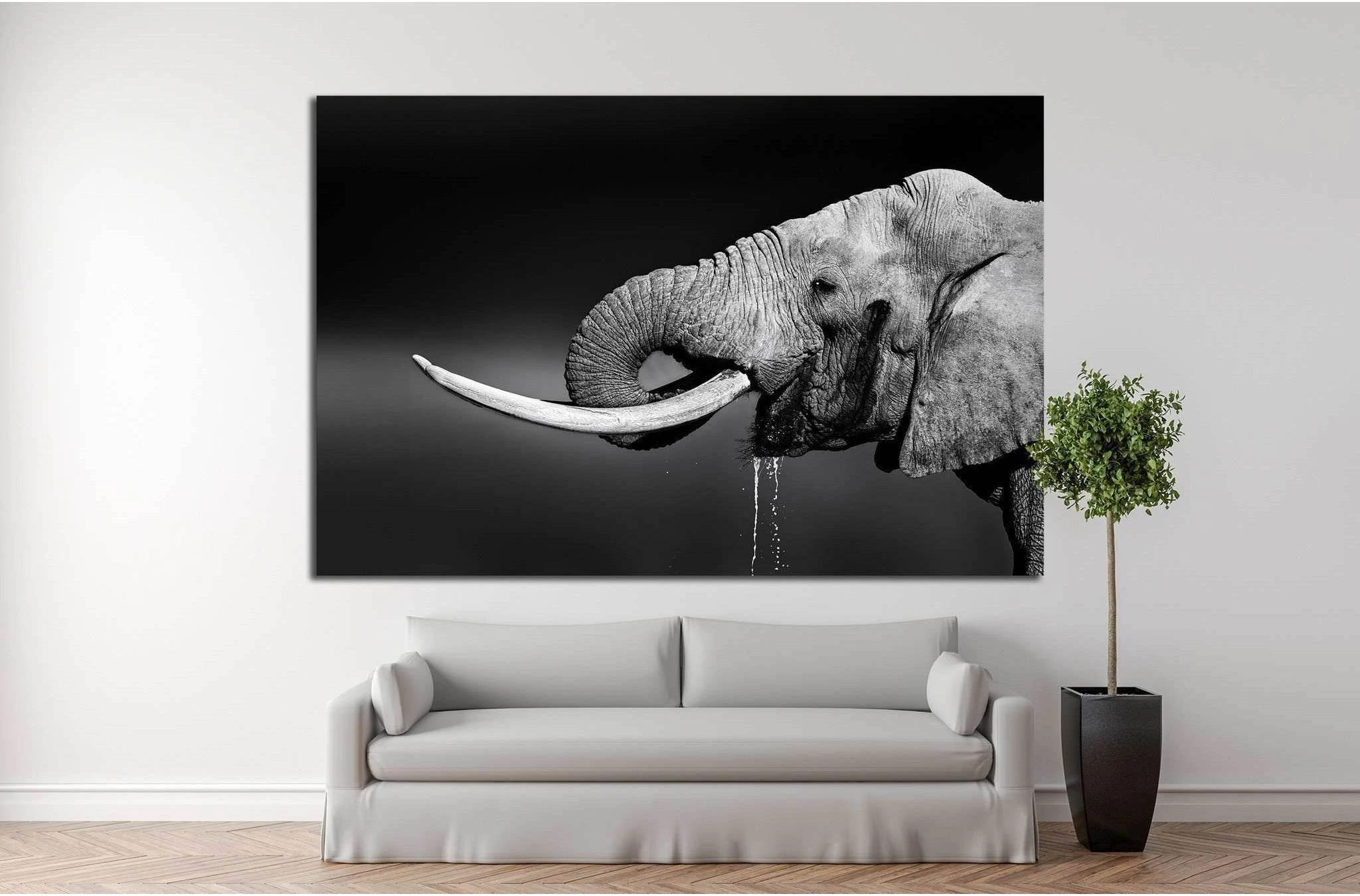 Elephant bull with large tusks in Addo National Park №1330 Ready to Hang Canvas Print - Zellart Canvas Prints ALL_Products, Elephant, s-1330