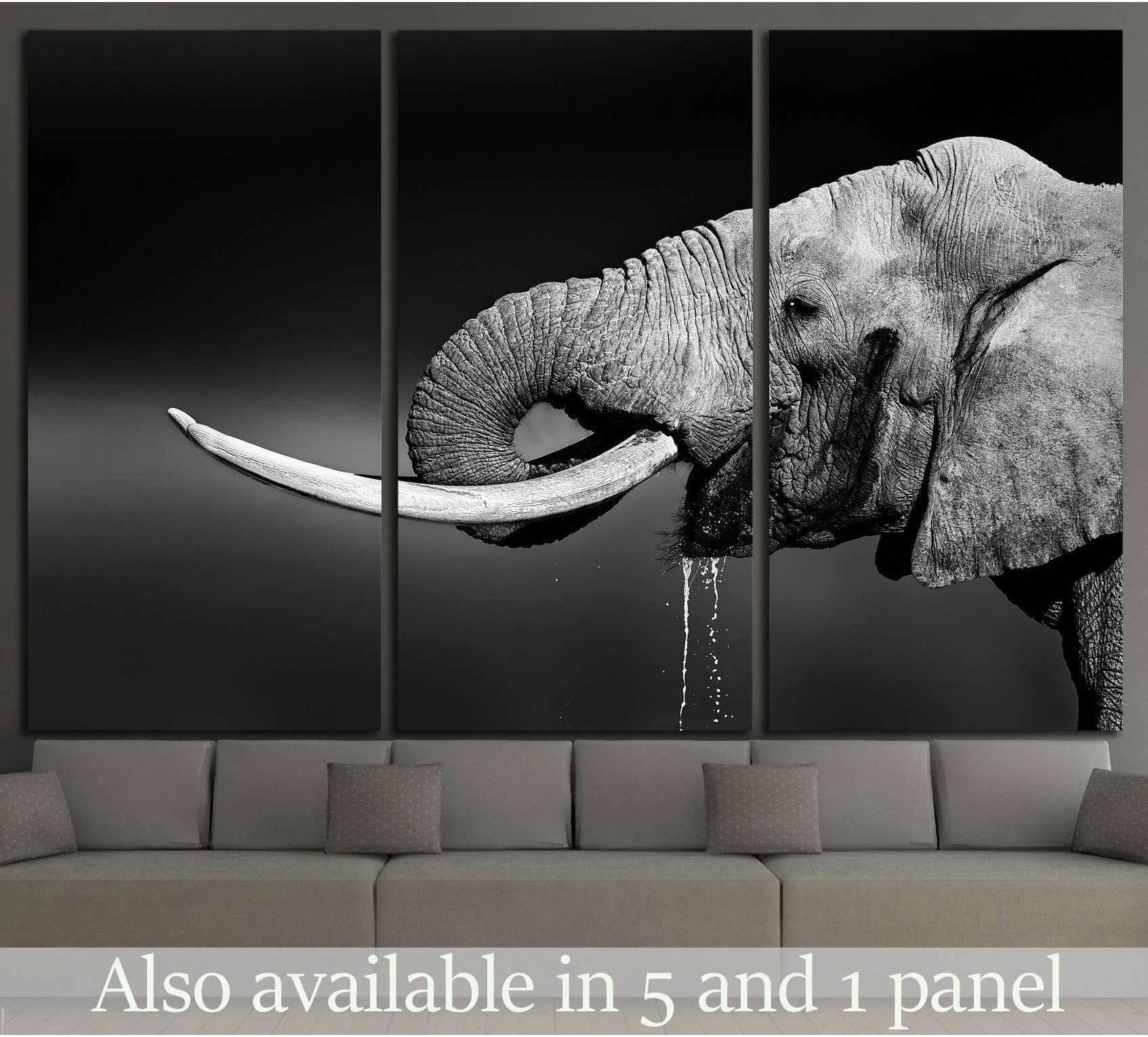 Black and white elephant canvas print with long tusks above a sofa in a modern living room
