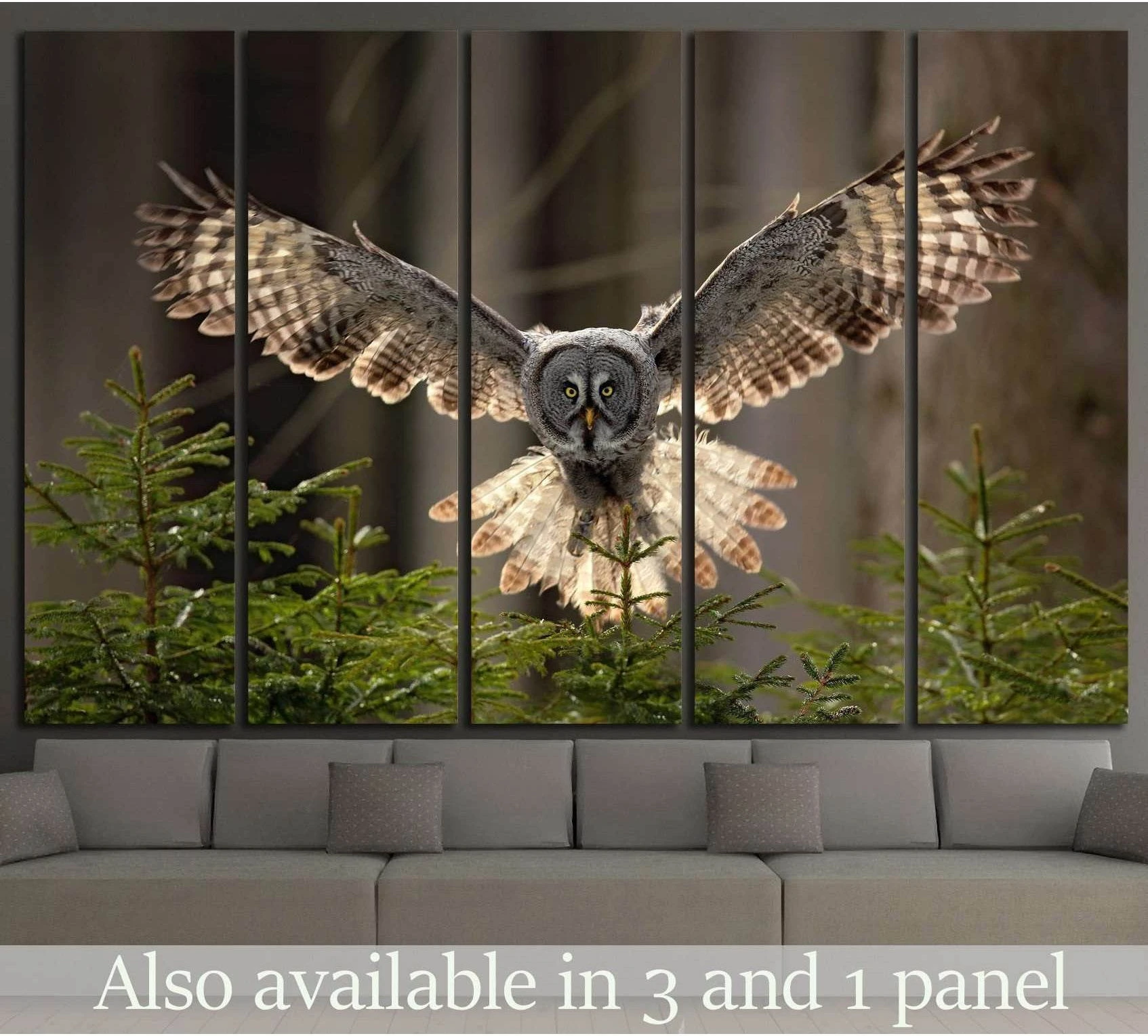 Great grey owl canvas print showing an owl in flight above spruce trees in a living room mockup